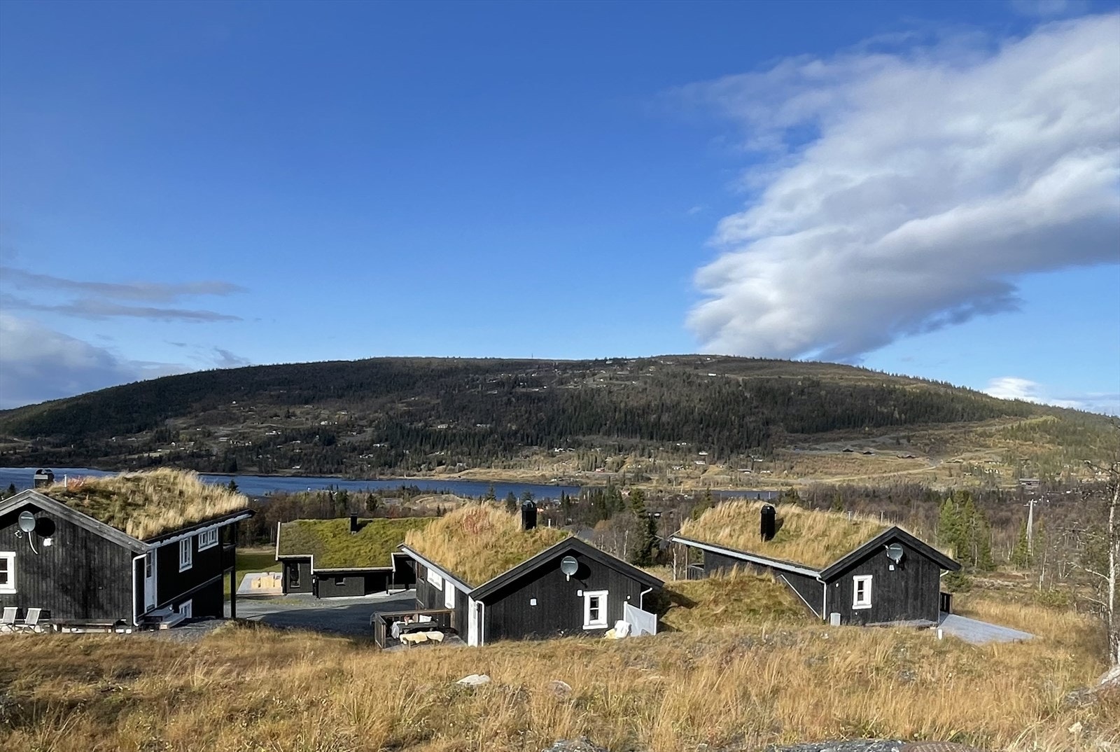 Denne flotte eiendommen ligger høyt og fritt i Vasetlia, med umiddelbar nærhet til naturen. Her er det meget gode solforhold og fantastisk utsikt mot Ålfjell, Jotunheimen, Grønsennknippa og Vasetvannet. Galleribilde