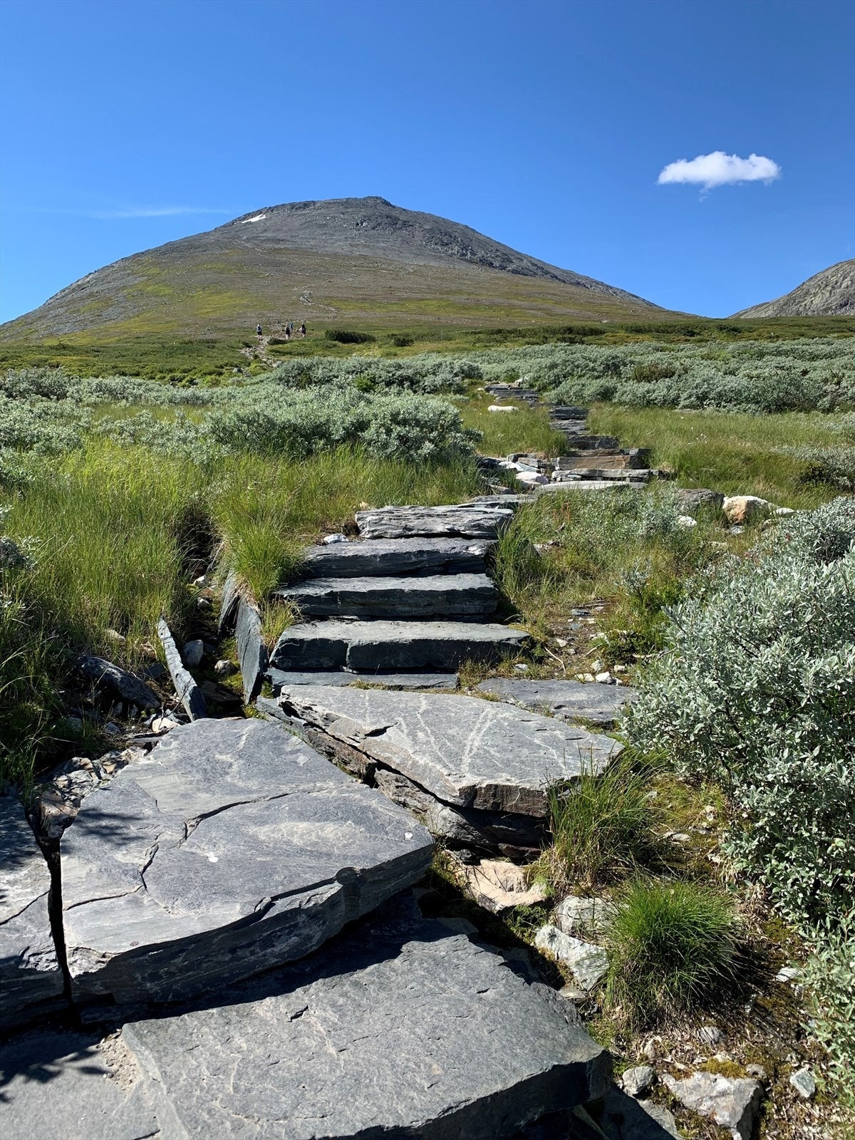 På "stølsvidda" som er fjellplatået mellom Valdres, Hallingdal og Hemsedal, er det flotte turmuligheter på stølsveger og stier. Selgers eget foto. Galleribilde