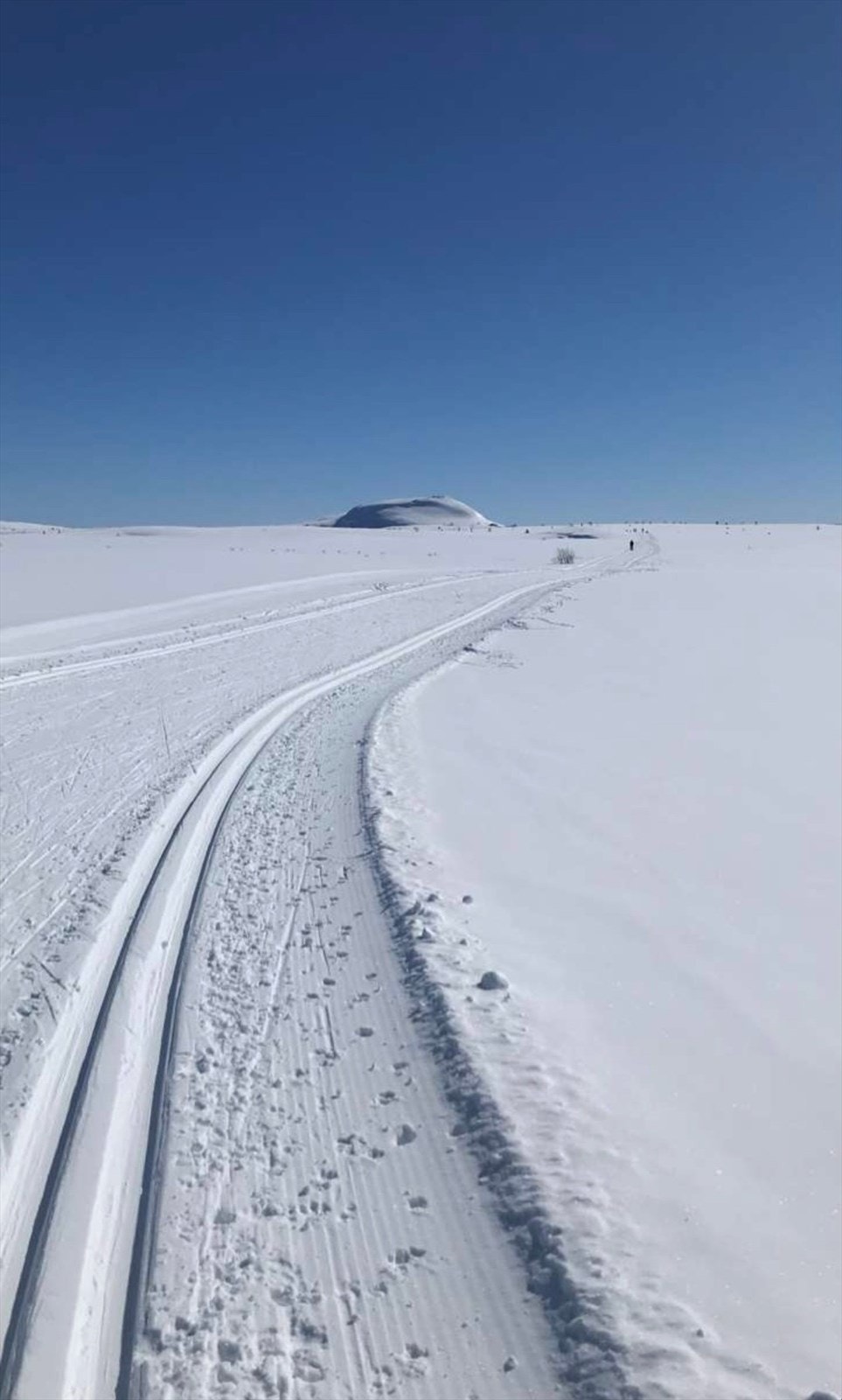 Her er det oppkjørte skiløyper "rett utenfor døra", som fører videre inn i et omfattende løypenett. Selgers eget foto. Galleribilde