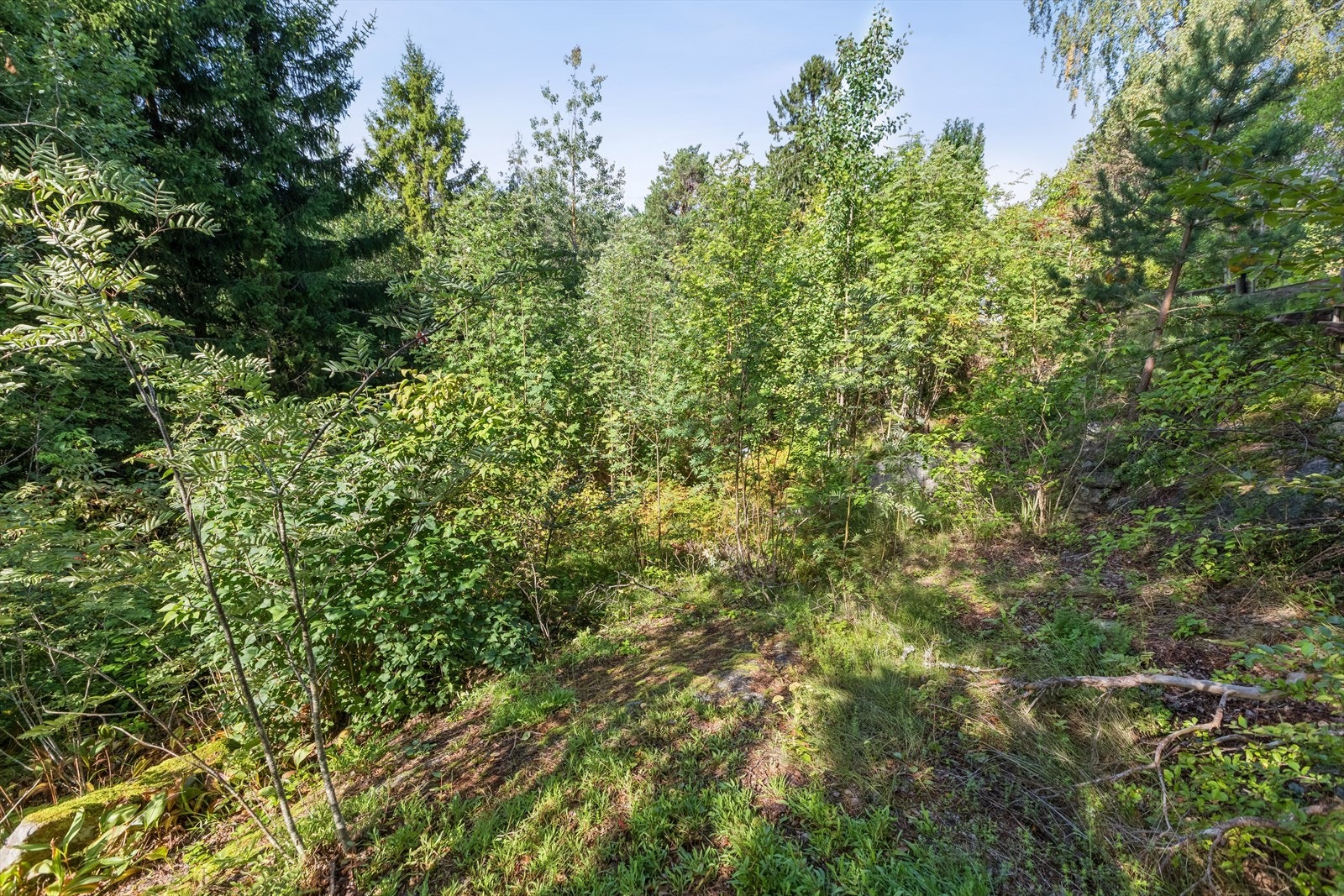 Tomten. Galleribilde