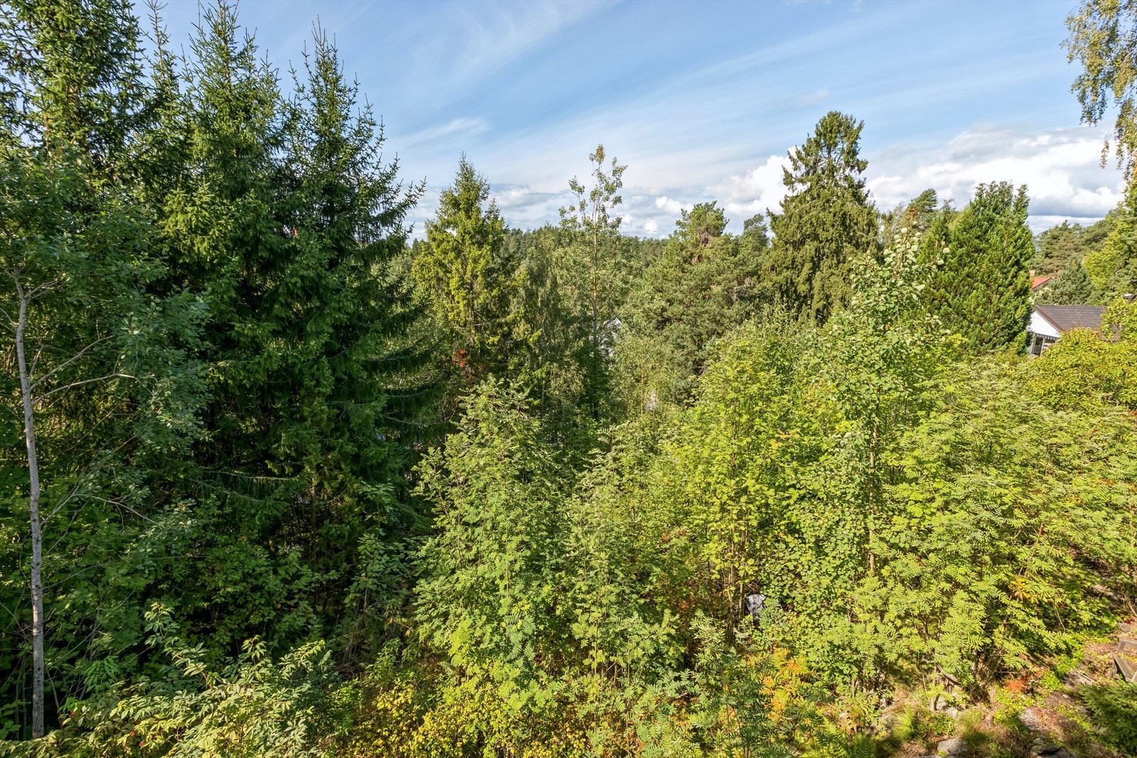 Fra eiendommen vil du få gode lys og solforhold. Galleribilde