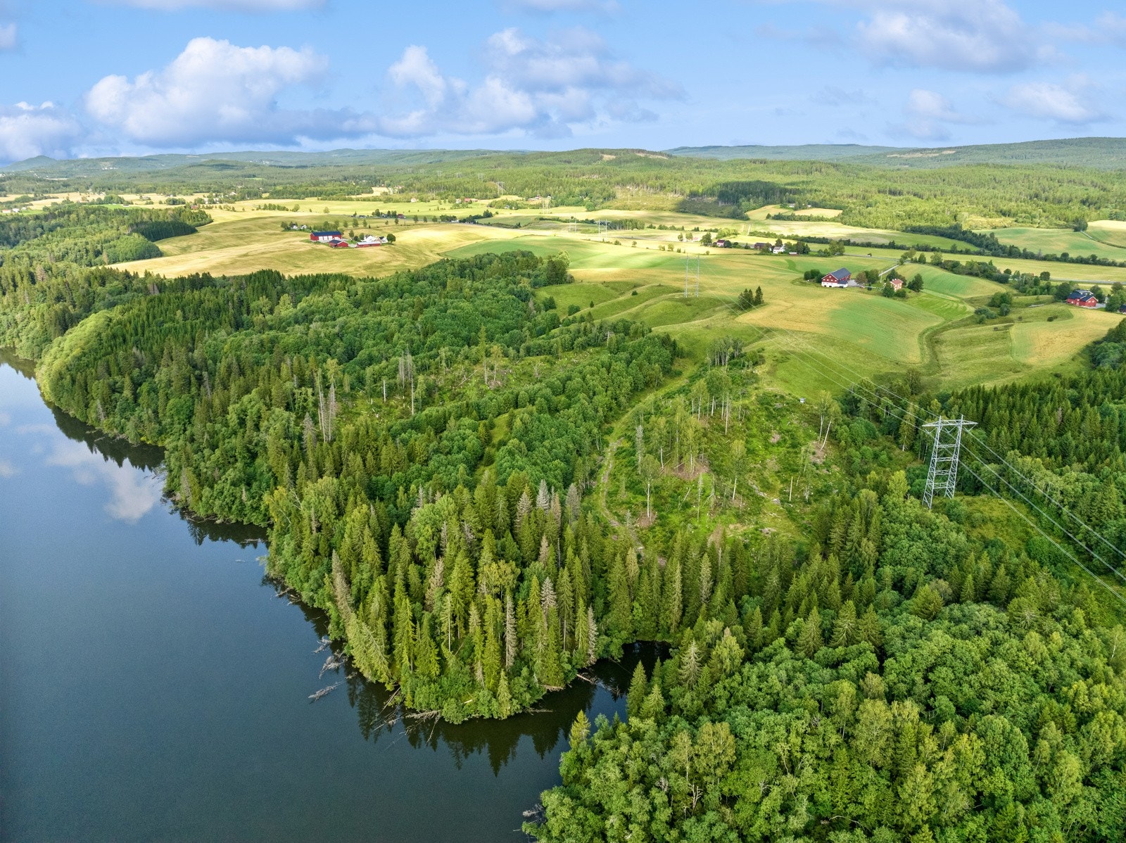 Eiendommens skog har strandlinje til Vorma Galleribilde