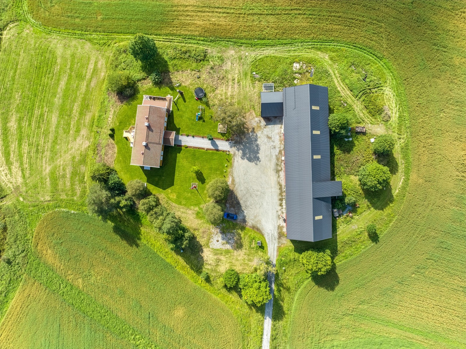 Li gård Galleribilde