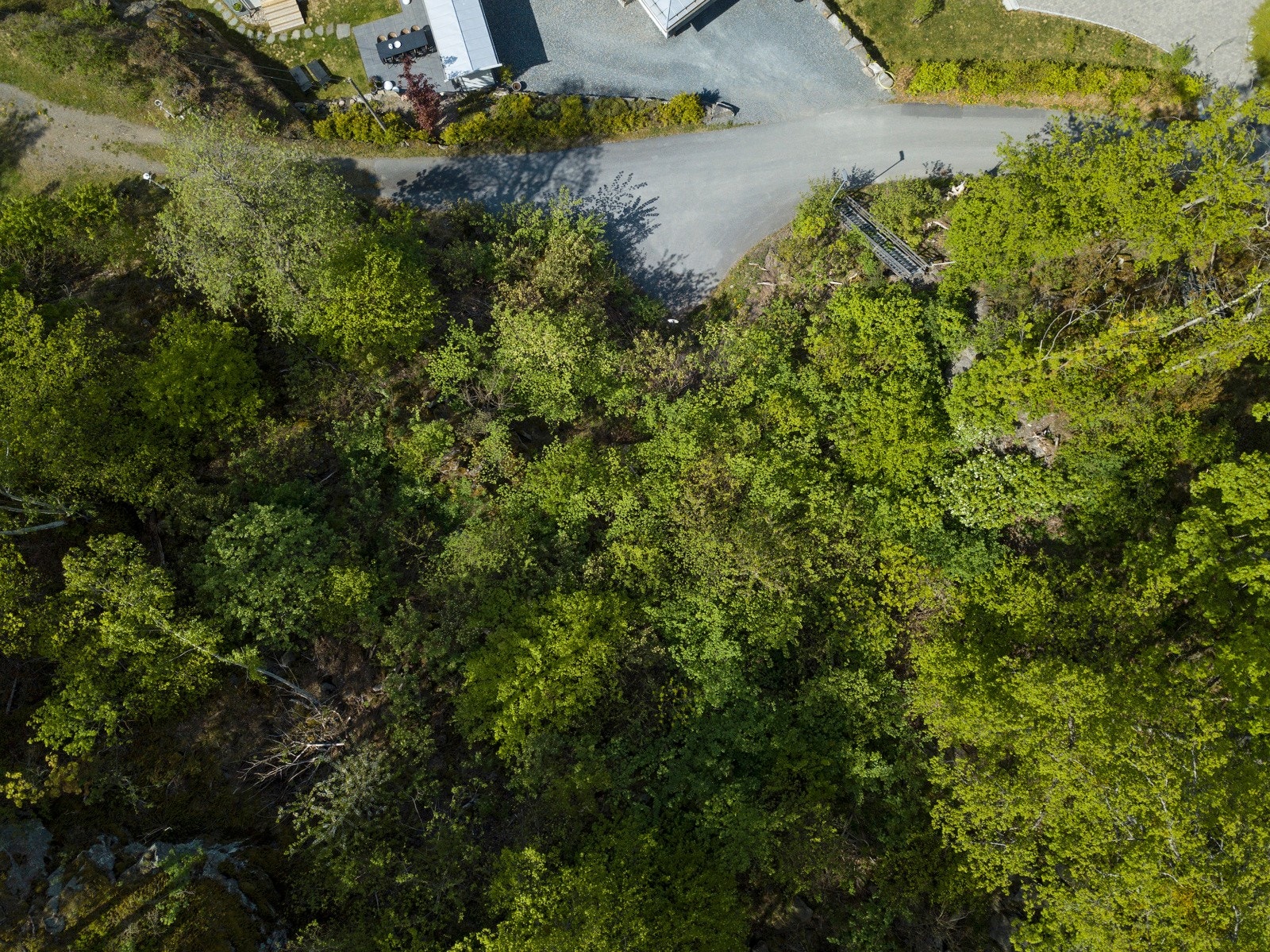 Tomten sett fra fugleperspektiv. Galleribilde