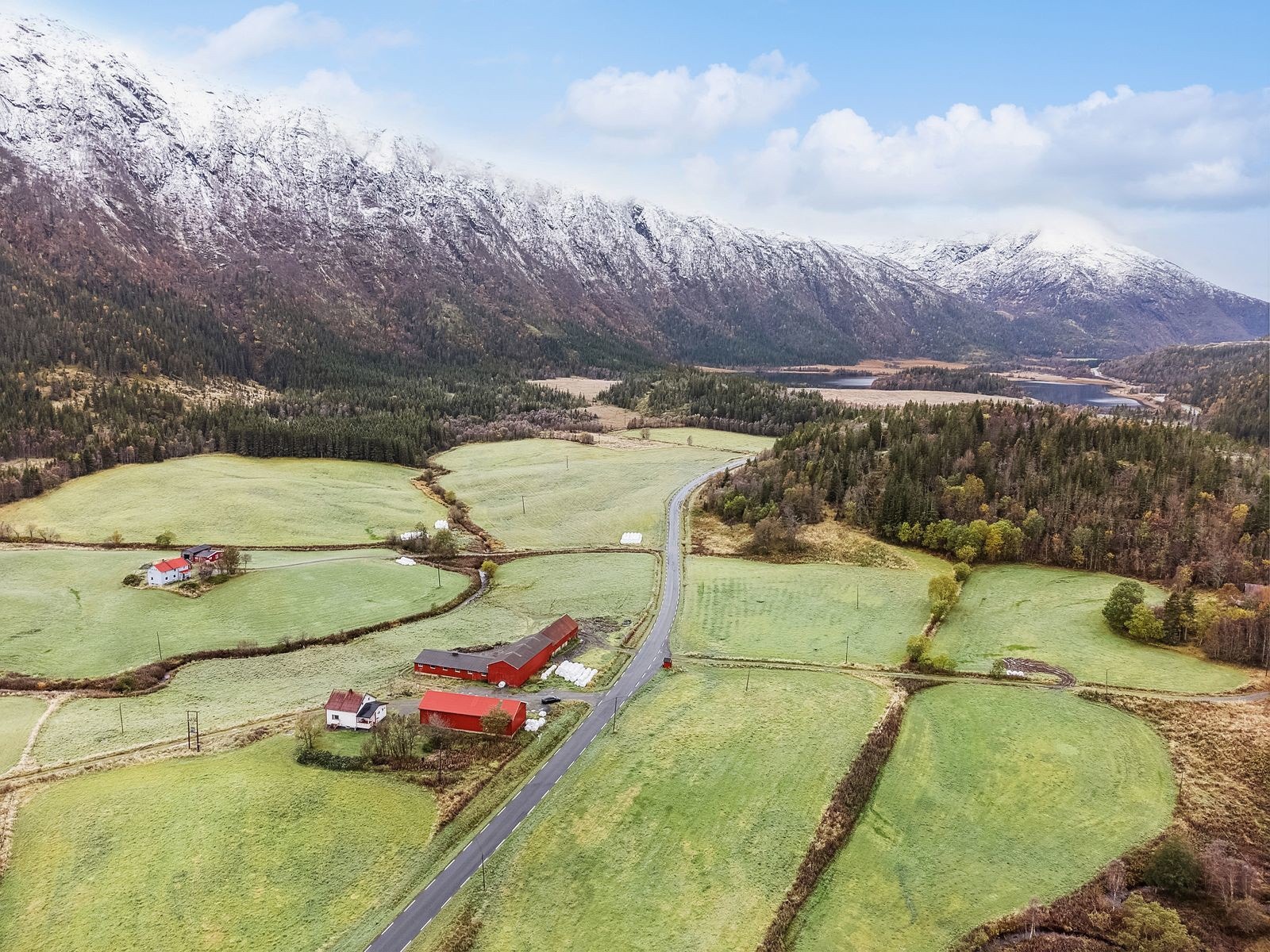 Velkommen til visning! Galleribilde