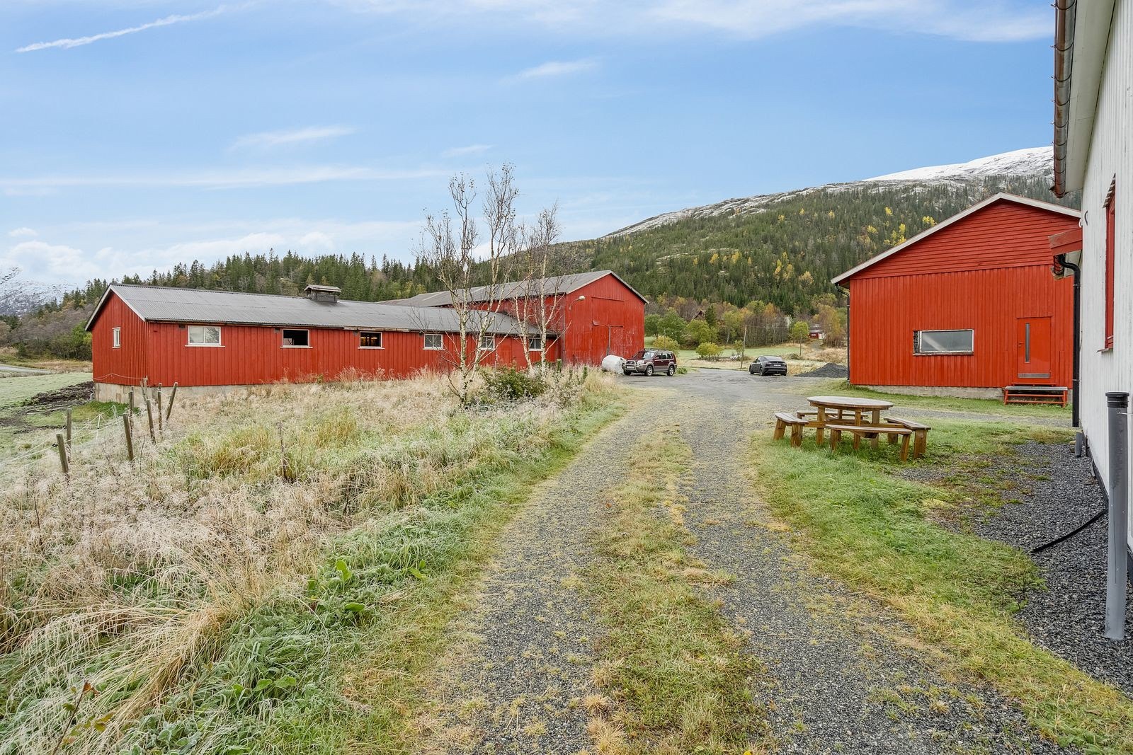 Gårdstun med opparbeidet veg mellom eneboligen og driftsbygningene Galleribilde