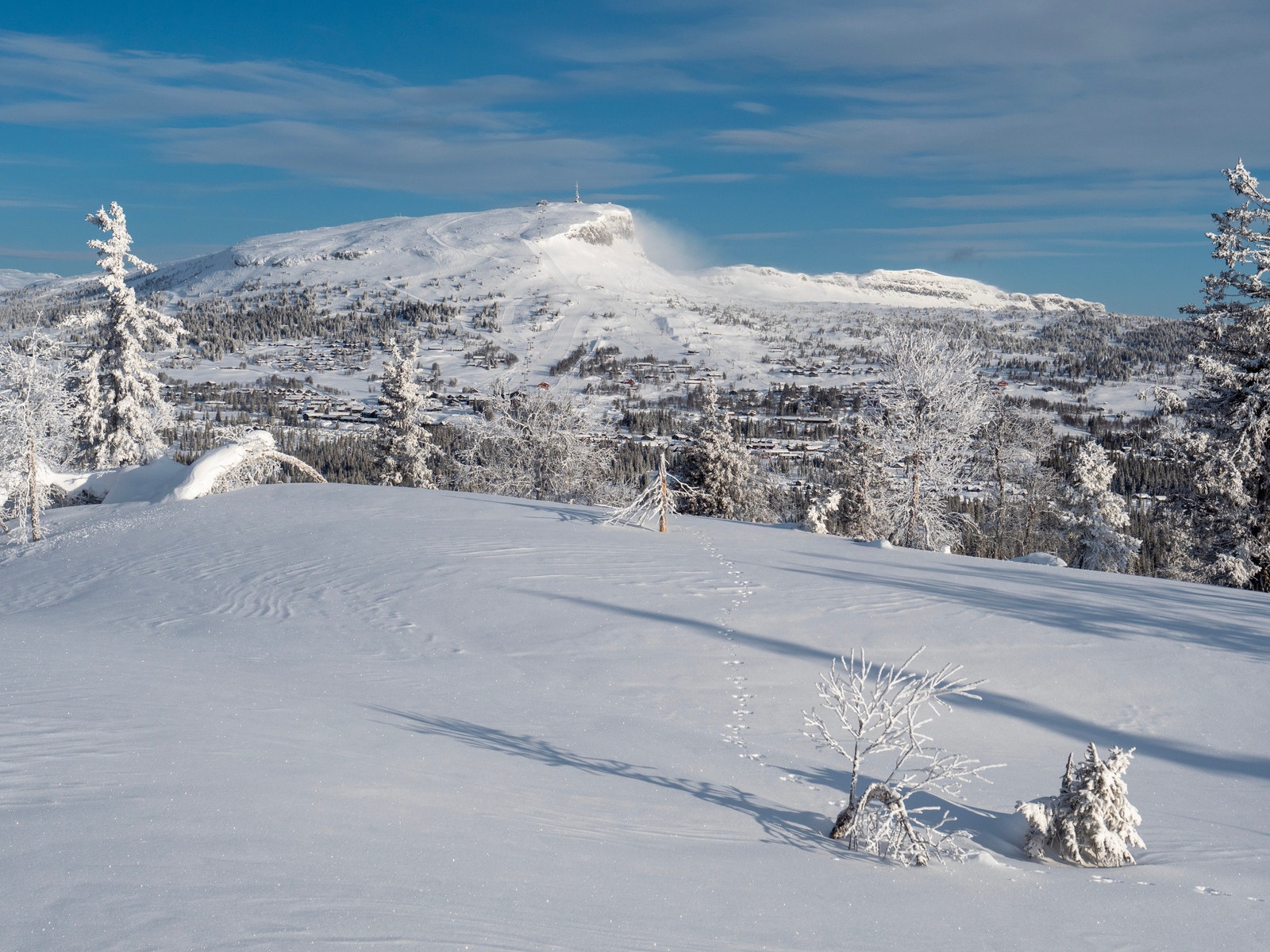 Foto Jon Gunnar Henriksen Galleribilde