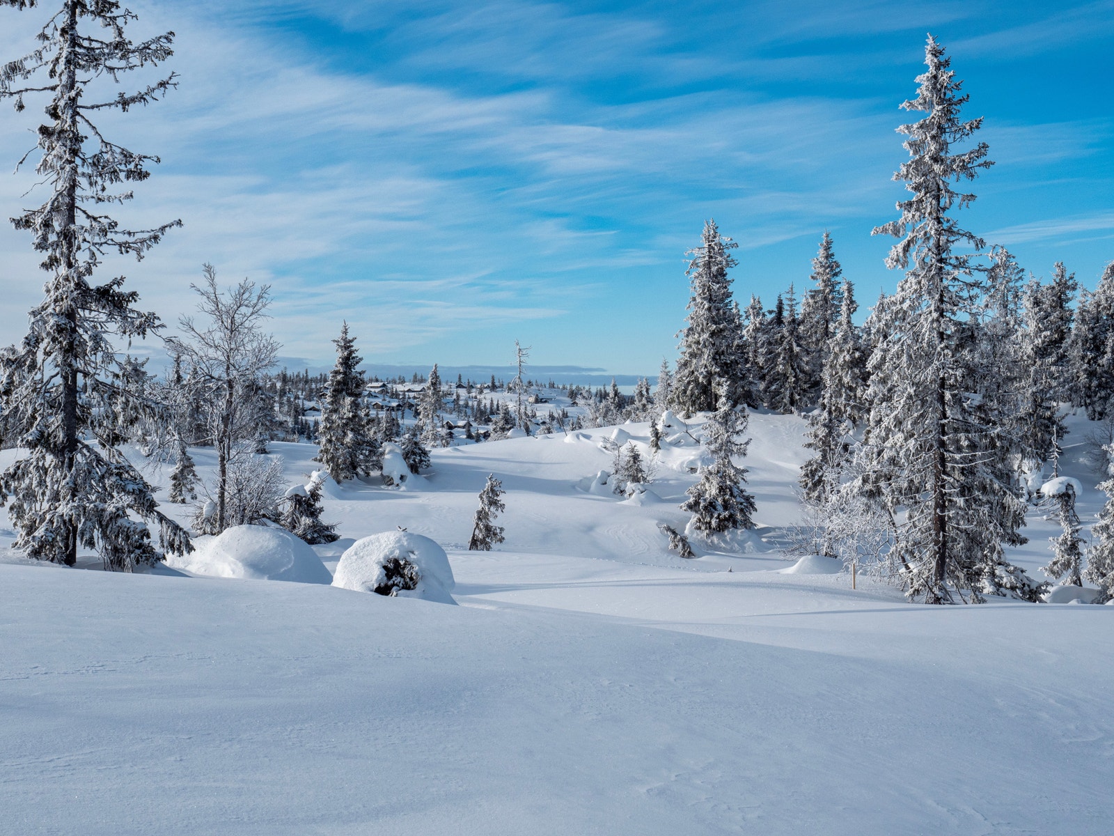 Foto Jon Gunnar Henriksen Galleribilde
