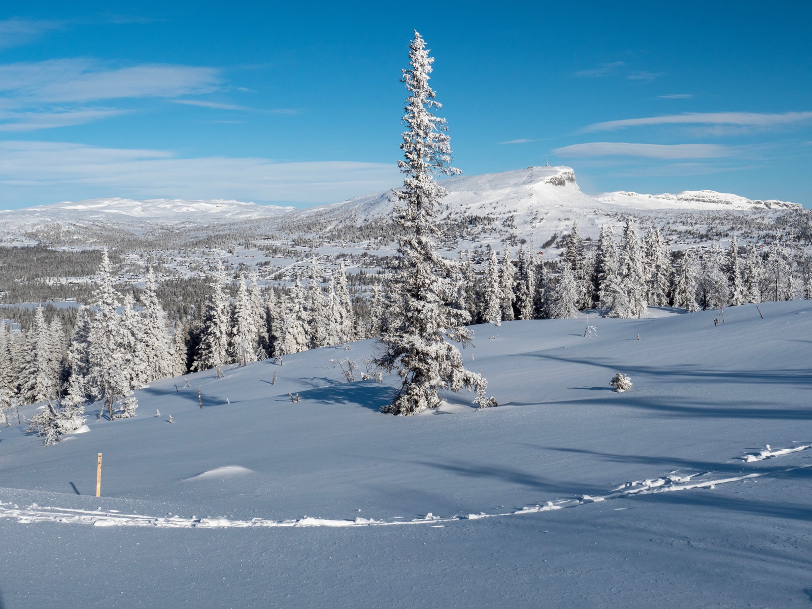 Foto Jon Gunnar Henriksen Galleribilde