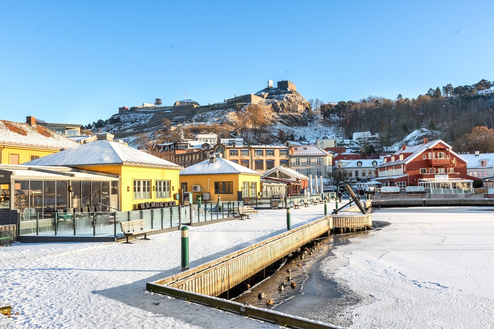 Nærområde Galleribilde