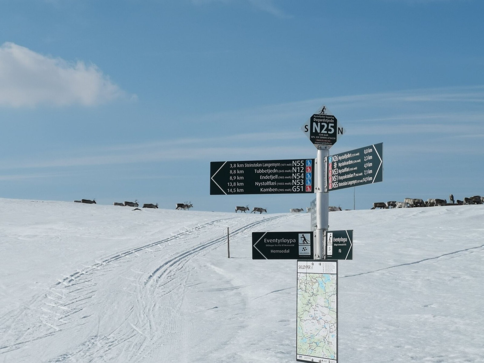 Nydelige skiløyper. Foto hentet fra FB siden til Nystølfjellet løypelag Galleribilde