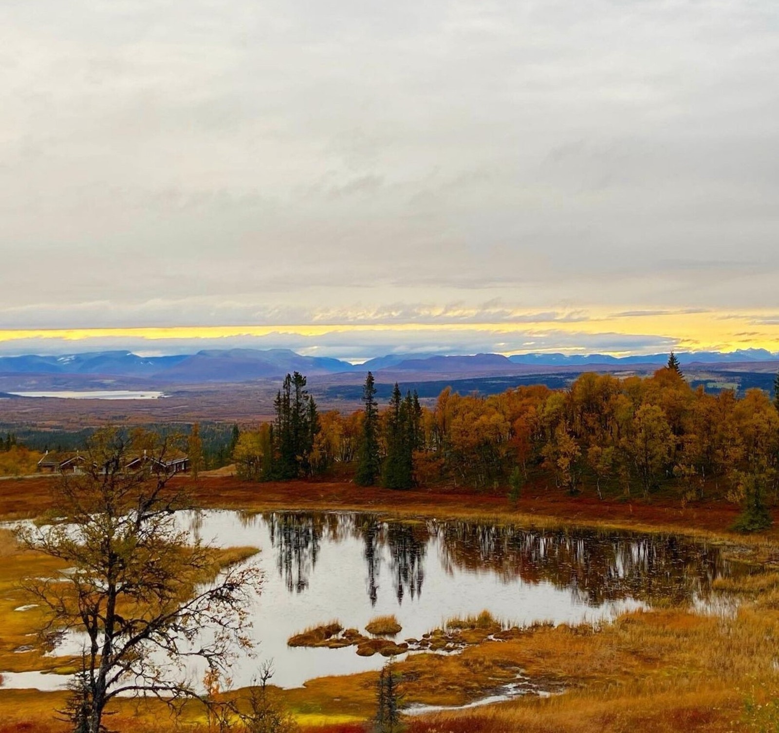 Foto fra området.
Fotokred @nystolfjellet Galleribilde