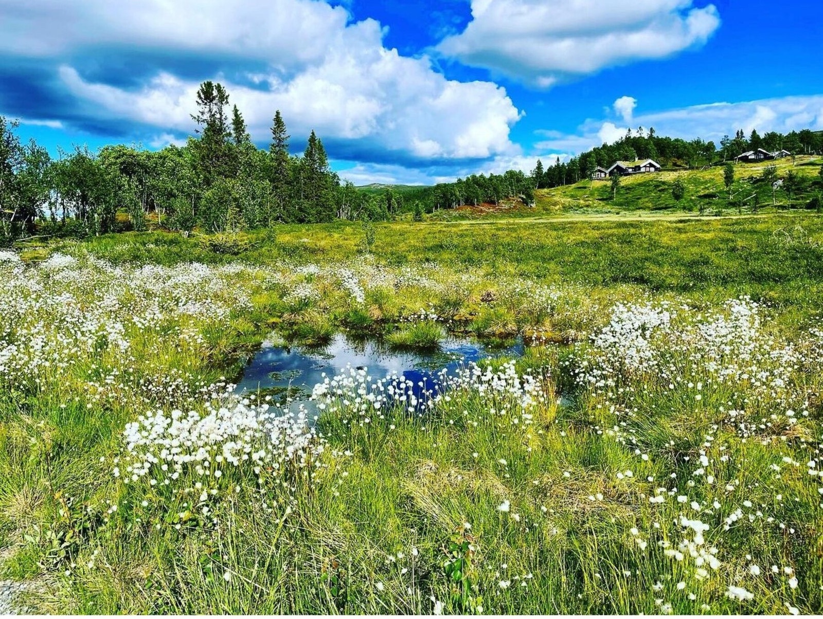 Foto fra området.
Fotokred @nystolfjellet Galleribilde