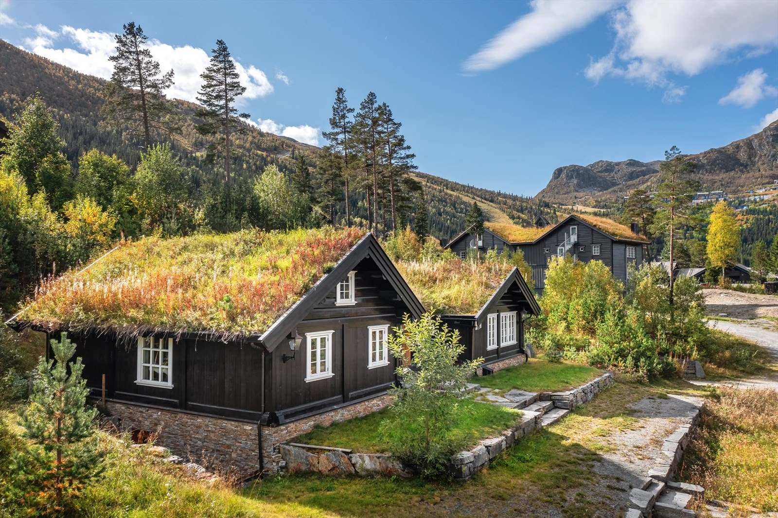 I Totteskogen kan du nyte alt fjellet har og tilby sommer som vinter! Galleribilde