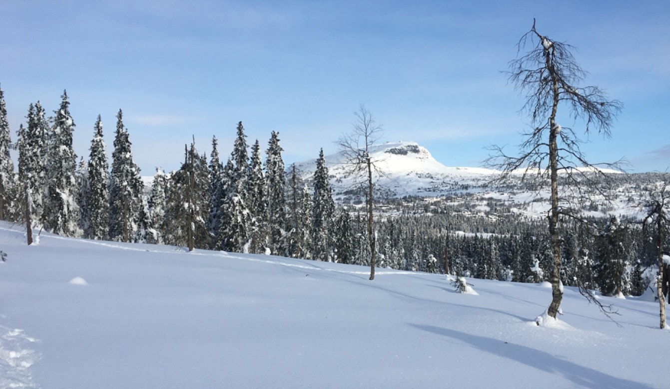 Flott utsikt mot Skeikampen fra Kjoslia Arena Skeikampen Galleribilde