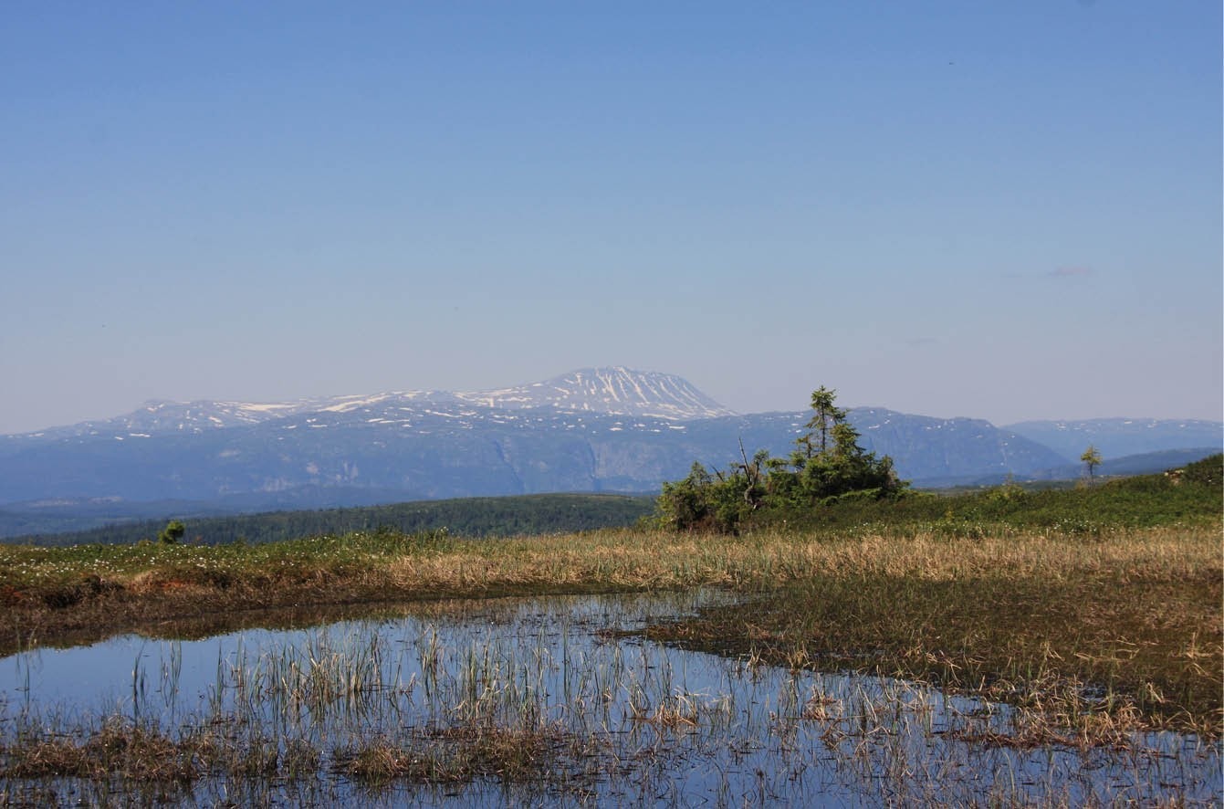 Midt i Nansens fjellrike, med turmuligheter i alle himmelretninger, sommer som vinter. Galleribilde