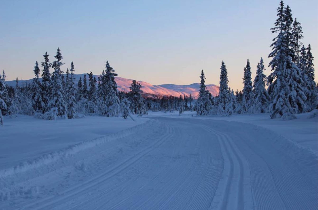 Vegglifjell er et snøsikkert område. Galleribilde
