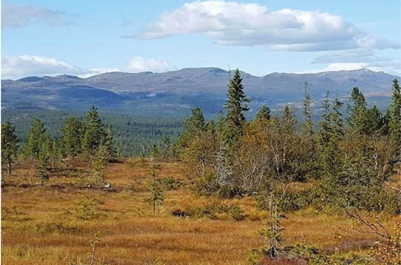 Store og luftige tomter. Tomtene ligger vestvendt, med fantastisk utsikt og solgang. Galleribilde