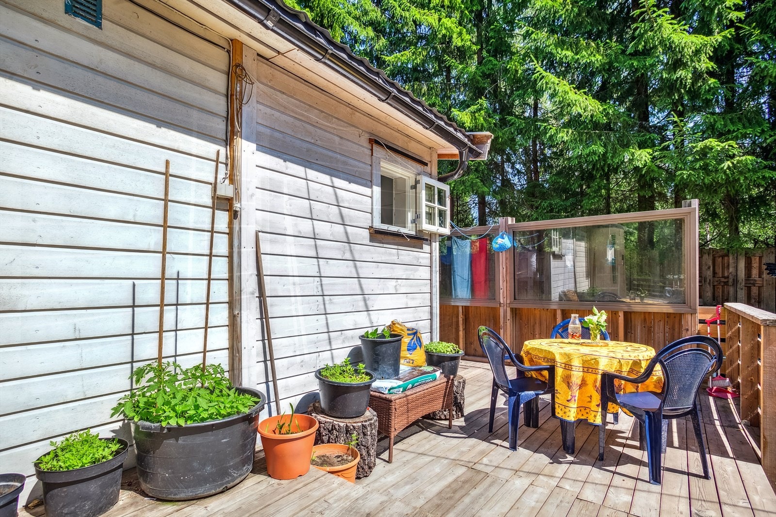 Terrasse ved inngang. Galleribilde