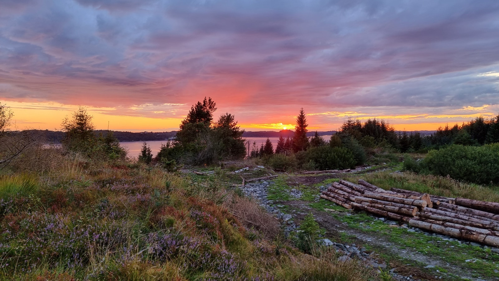 Flotte solnedganger Galleribilde