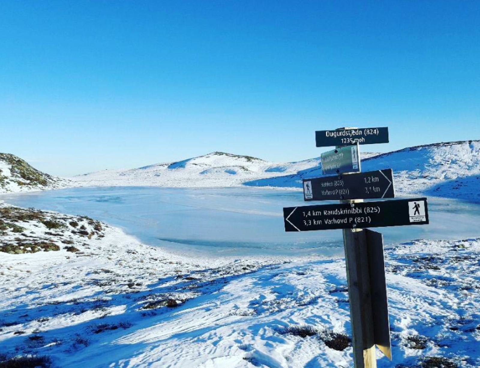 Dugurdtjern er fint både vinter og sommer
Fotokred @nystolfjellet Galleribilde