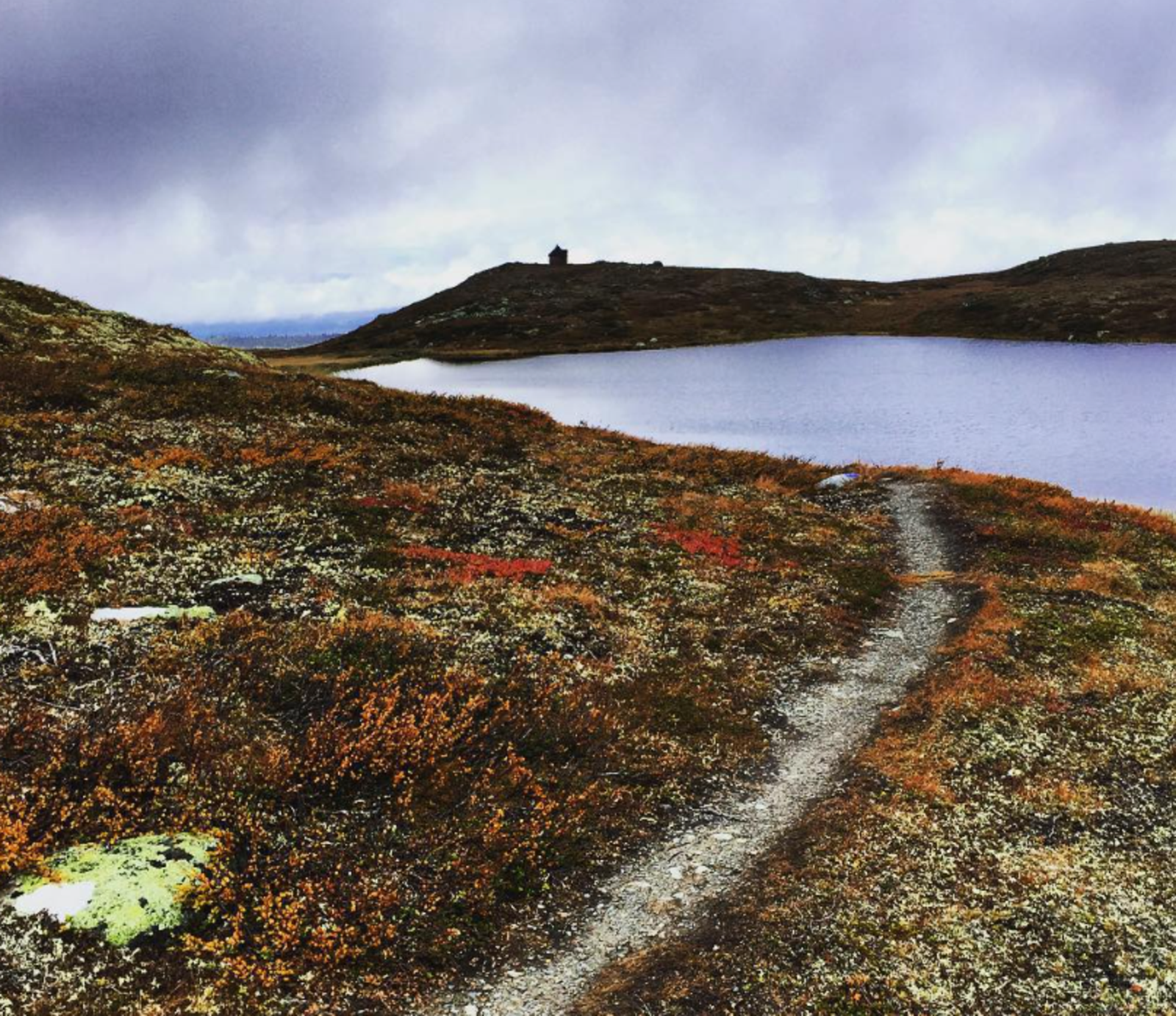 Dugurdtjern i høstfarger
Fotokred @nystolfjellet Galleribilde