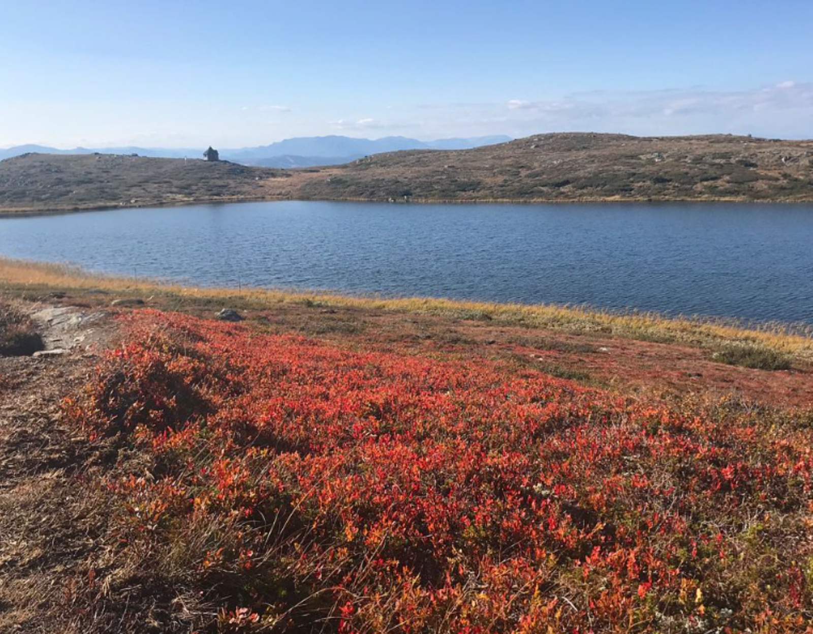 Nydelig turterreng
Fotokred @nystolfjellet Galleribilde