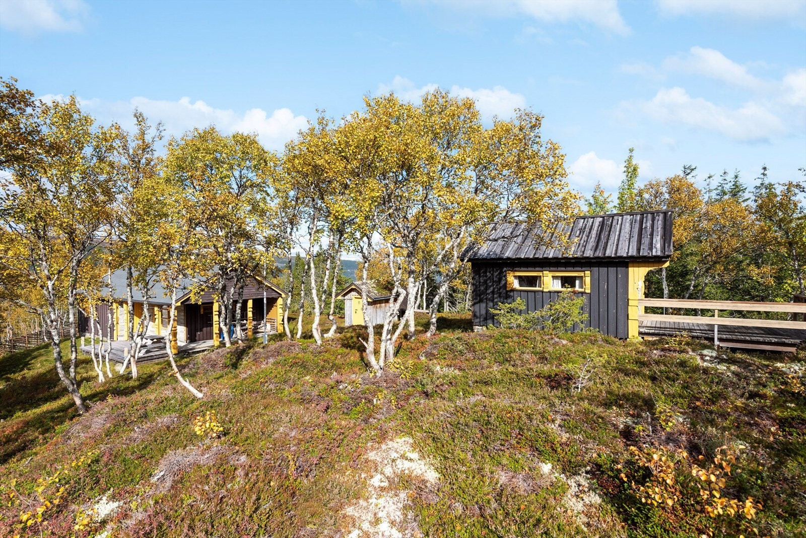 Hytta ligger usjenert på en høyde rett under tregrensen på ca 1000 moh. Galleribilde
