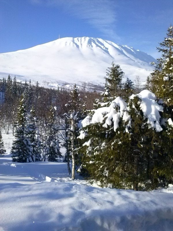 Utsikten fra hytta viser flotte Gaustatoppen i vinterdrakt. Galleribilde
