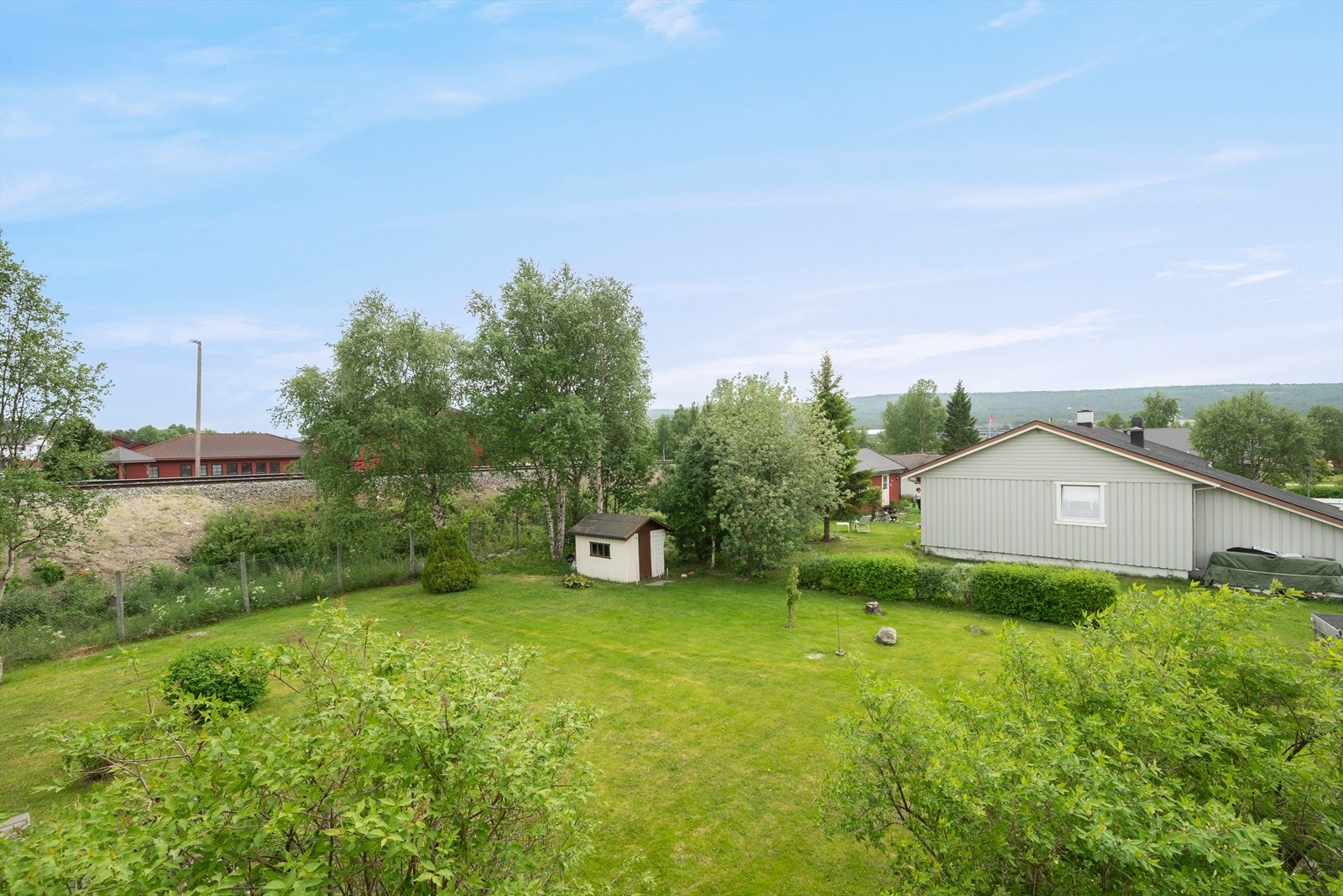 Sommerbilde. Galleribilde