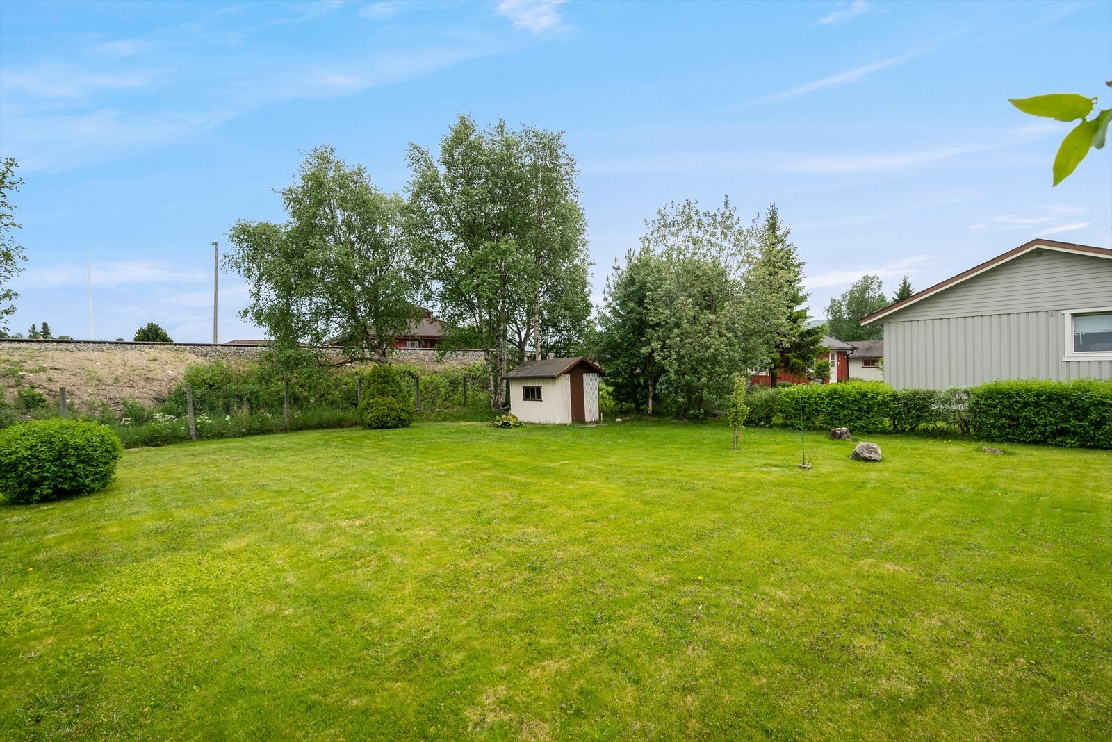 Sommerbilde. Galleribilde
