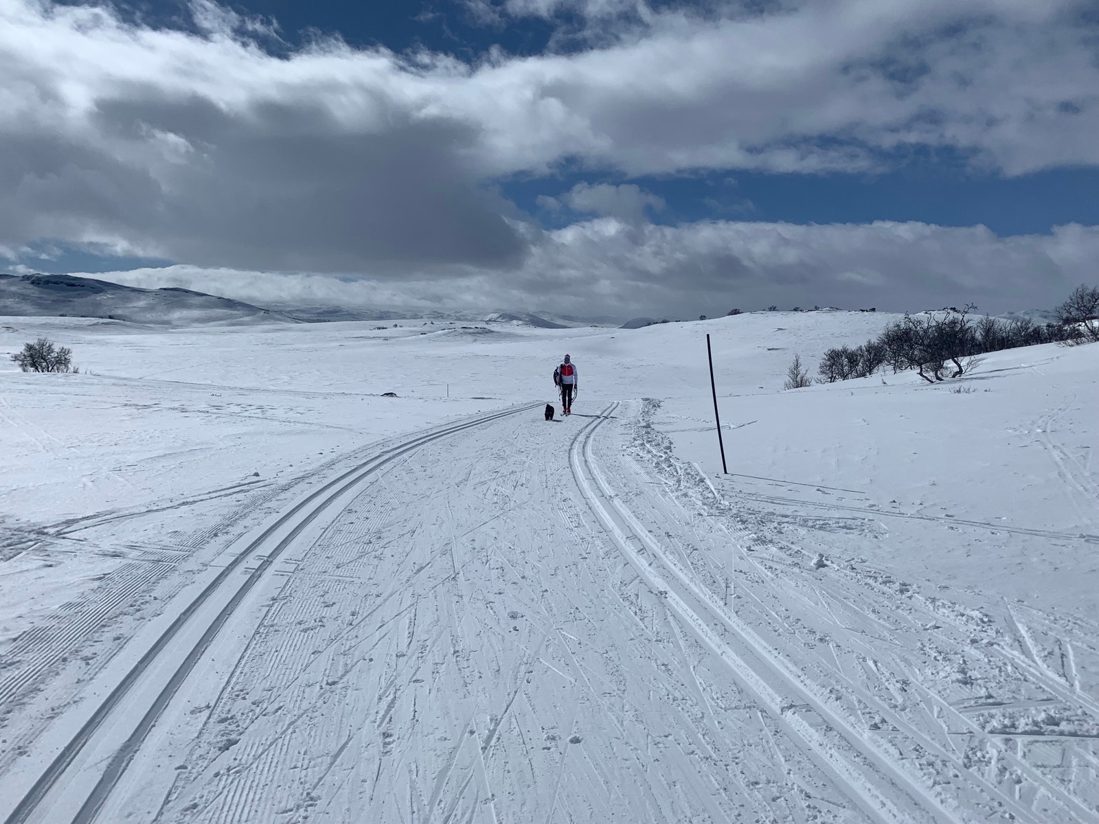 Om vinteren tilbyr Hovden 170 kilometer med langrennsløyper som blir preparert daglig. Galleribilde