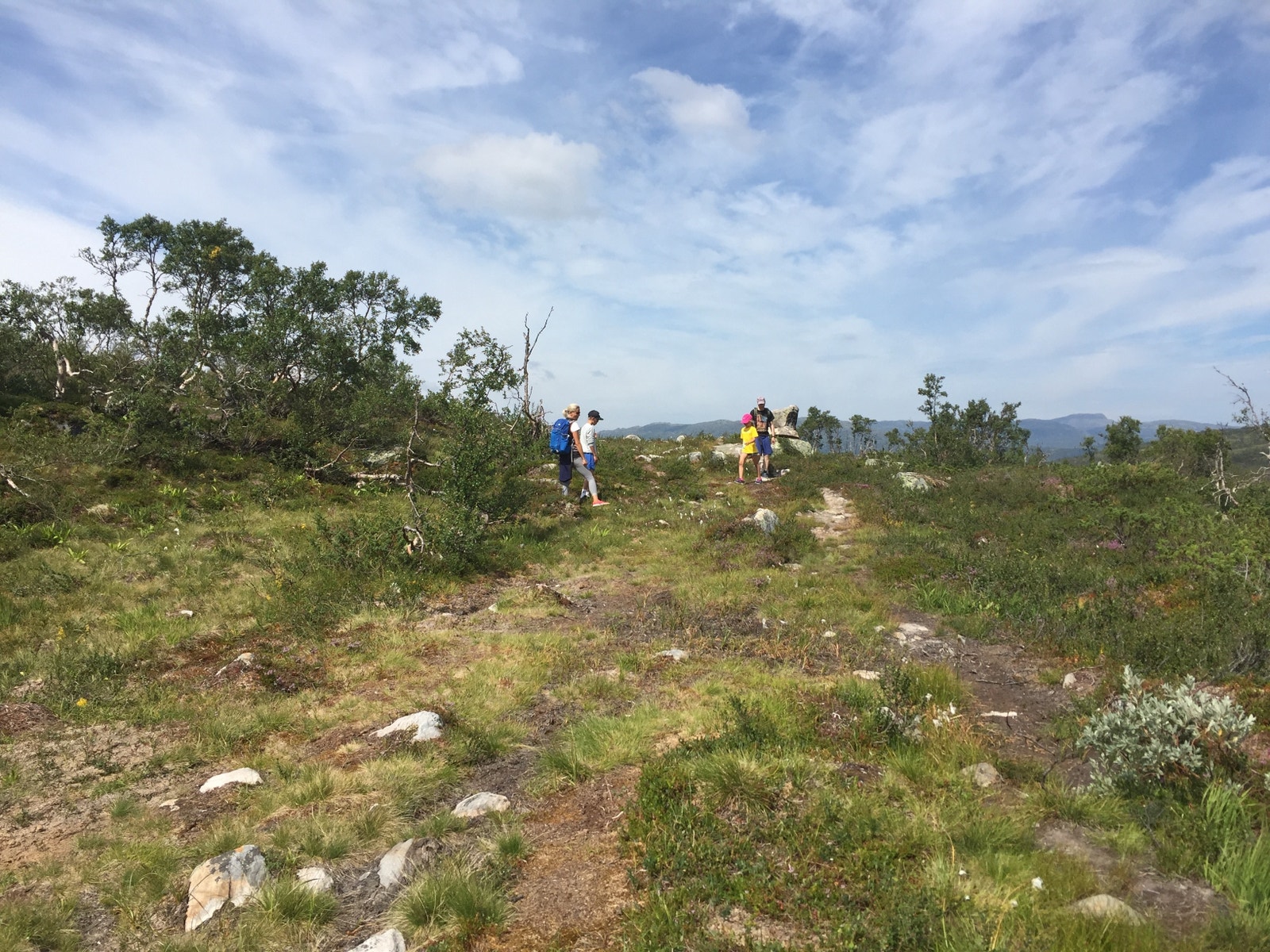 Flotte turområder. Mange ulike turer for store og små i ulike terreng. Galleribilde