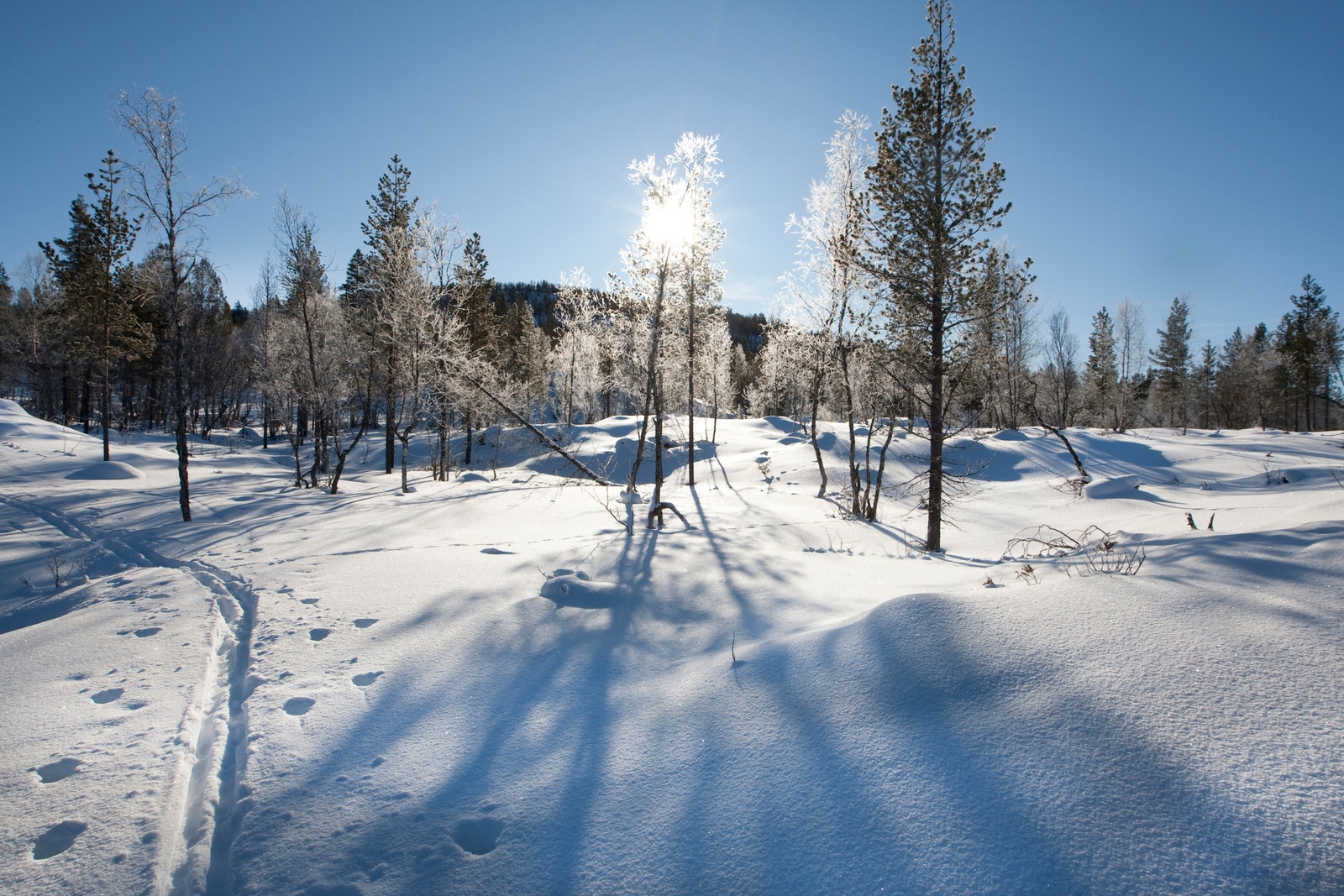 Her kan du nyte det gode liv i flott natur. Galleribilde