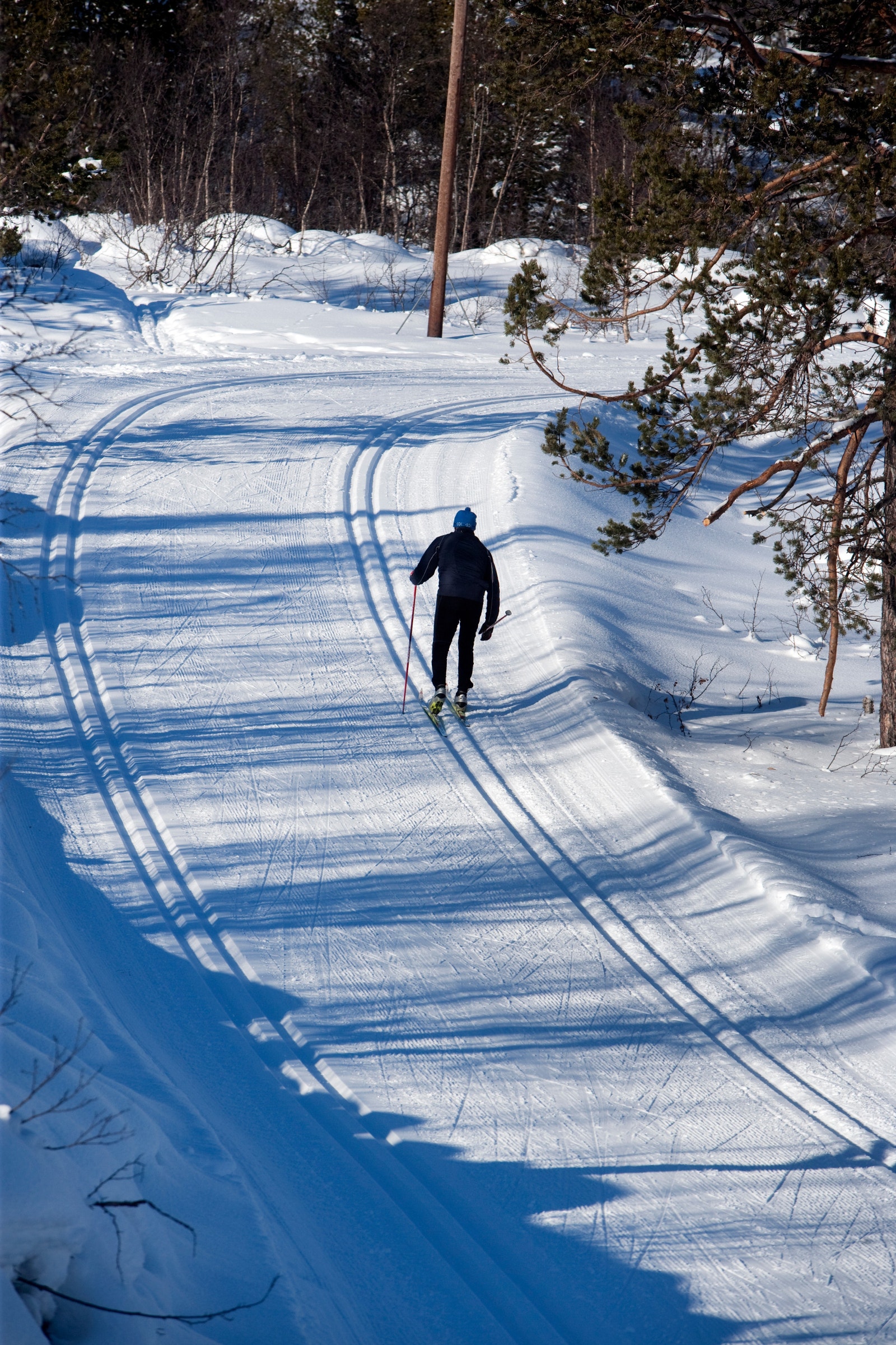 Langrennsløyper - Alt fra skogsløyper i lavlandet til høyfjellsløyper i åpent terreng, så her finner du garantert noe som passer for deg. Galleribilde