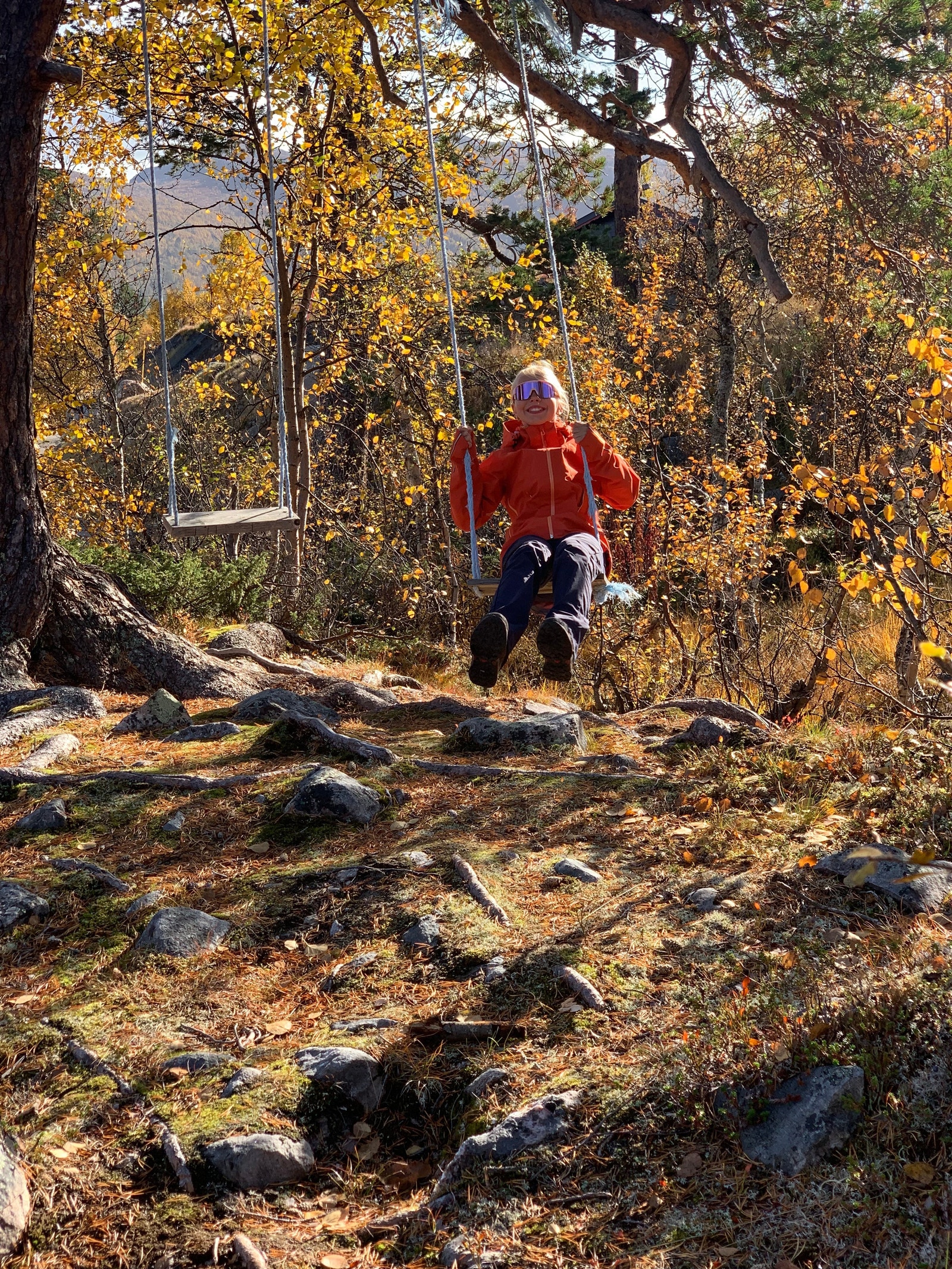 Høstaktivitet. Galleribilde