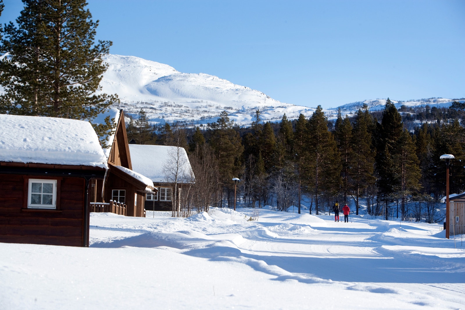 Fra Nylund Park Galleribilde