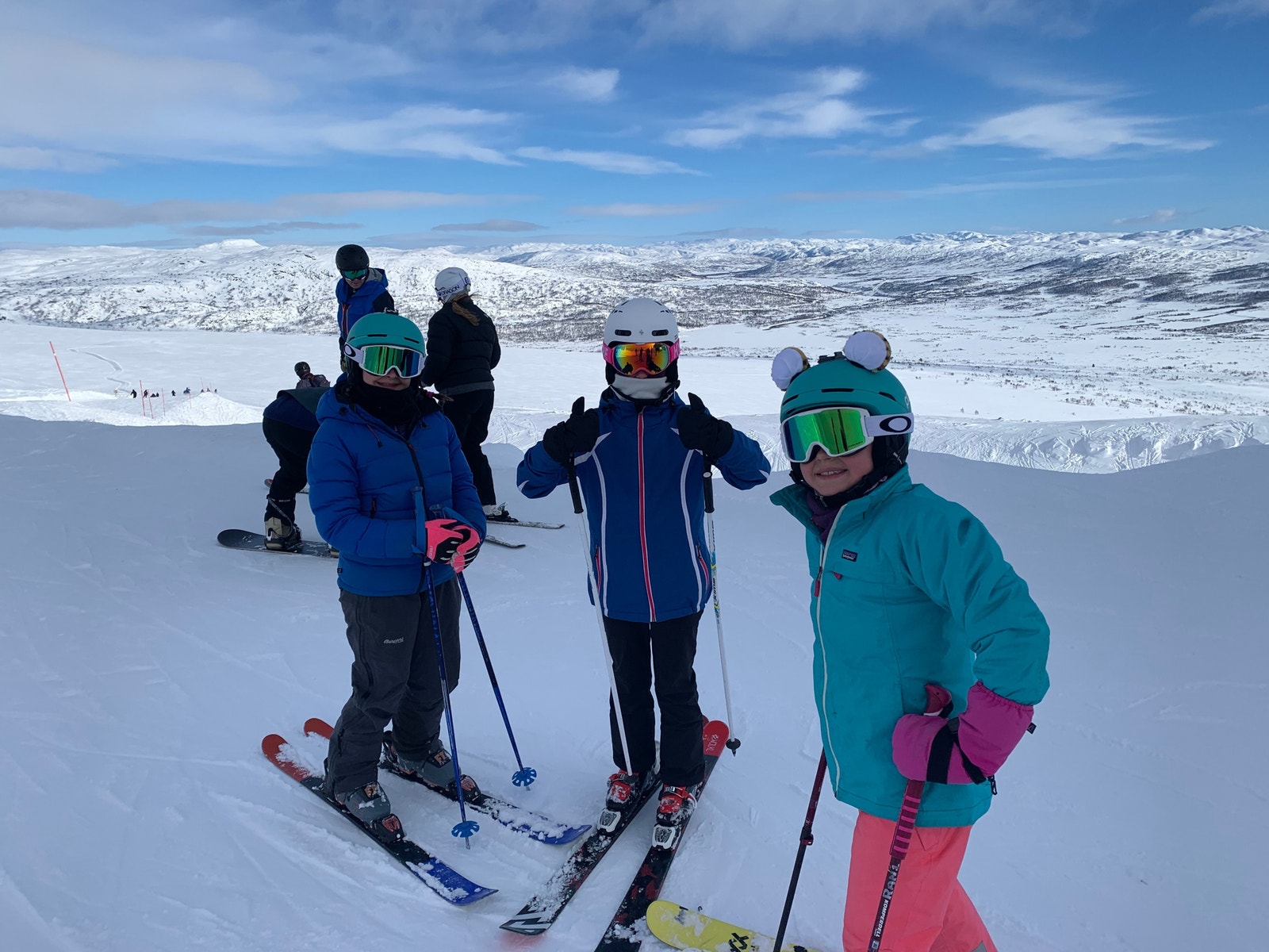 Fra Hovden alpinsenter. 8 heiser/trekk. Galleribilde