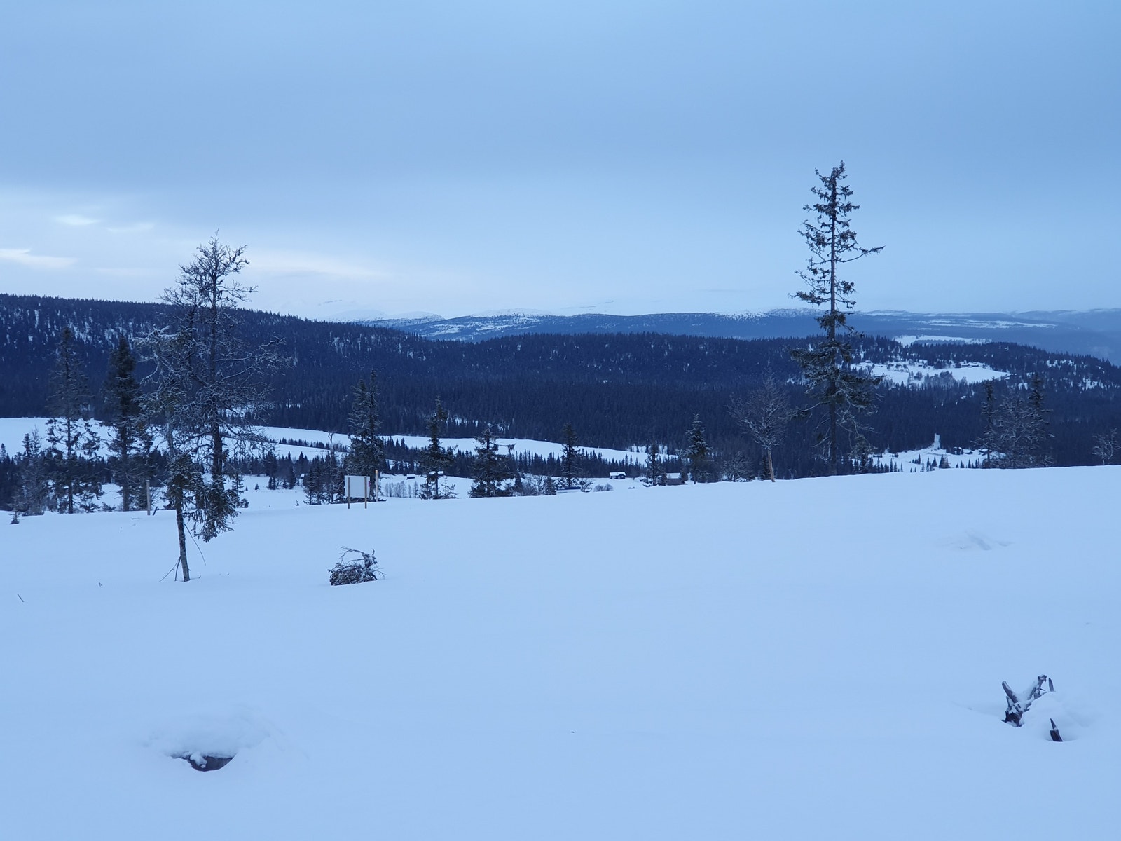 Fantastisk utsikt mot Rondane Galleribilde