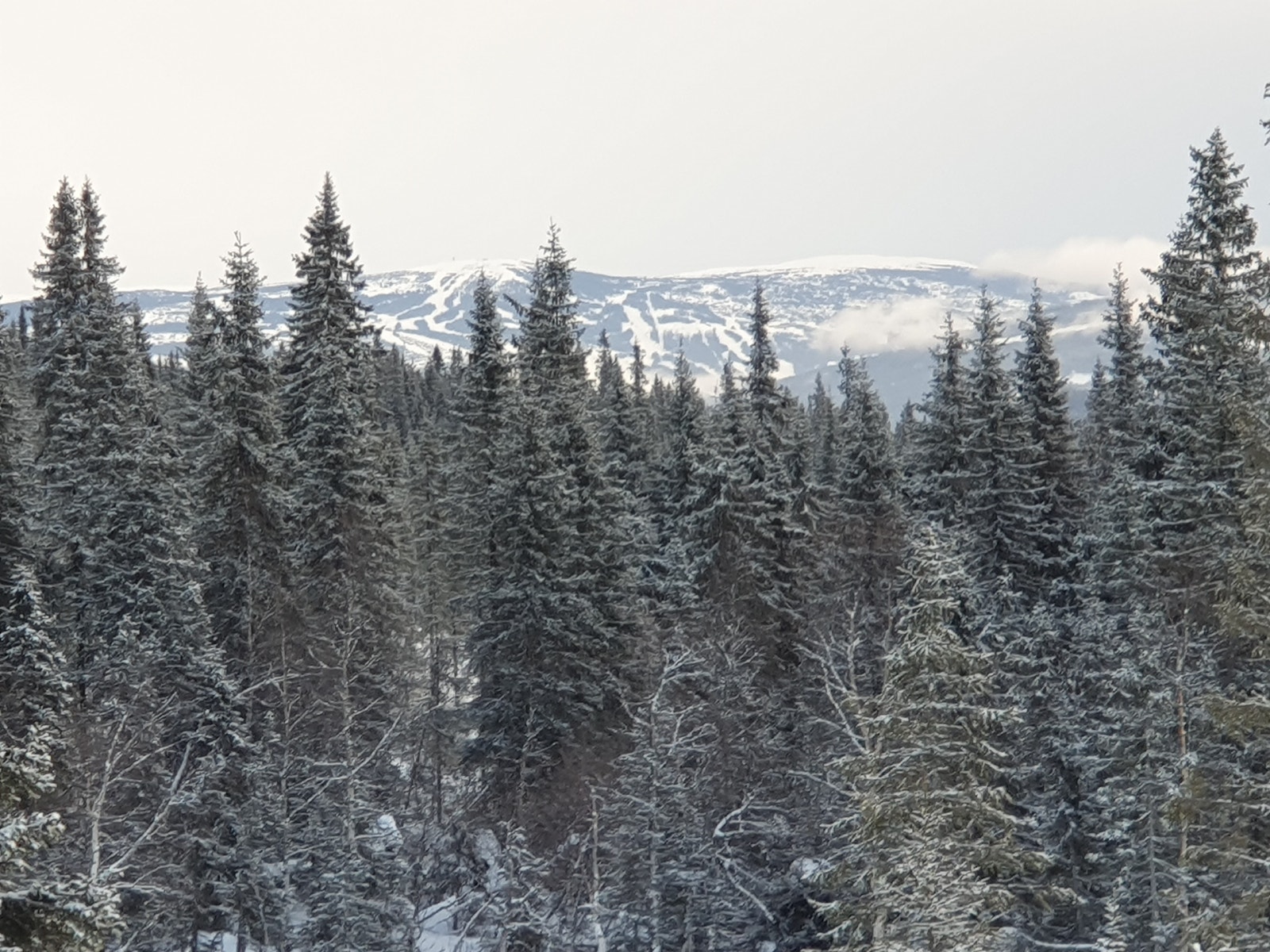 Utsikt mot Hafjell fra tomt 47 Galleribilde