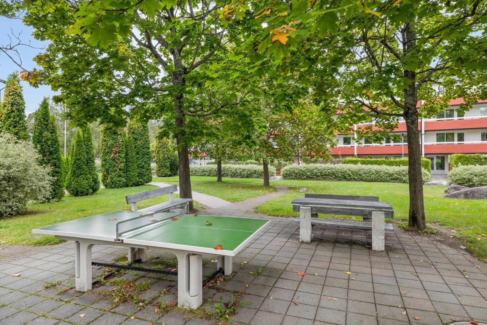 Bordtennisbord på fellesareal. Galleribilde