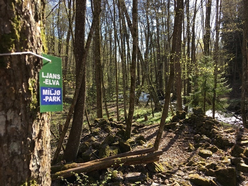 Turvei langs Ljanselva mellom Østmarka og Oslofjorden. Galleribilde