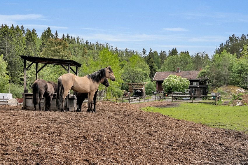 Budrud gård er en av de gamle Akergårdene og ligger v/ysløypa like ved borettslaget. Galleribilde