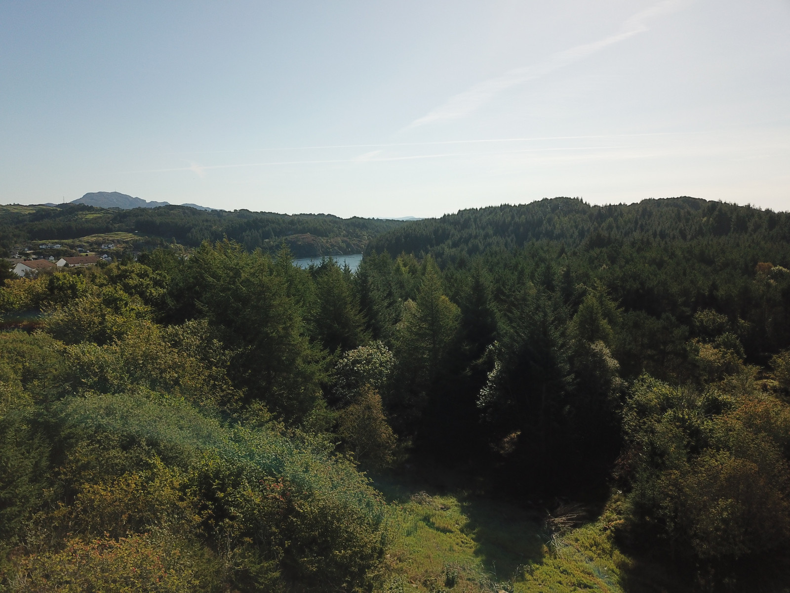 Mot Straumfjorden (sør-øst) frå tomt nr. 5, her skal mykje skog fjernast.