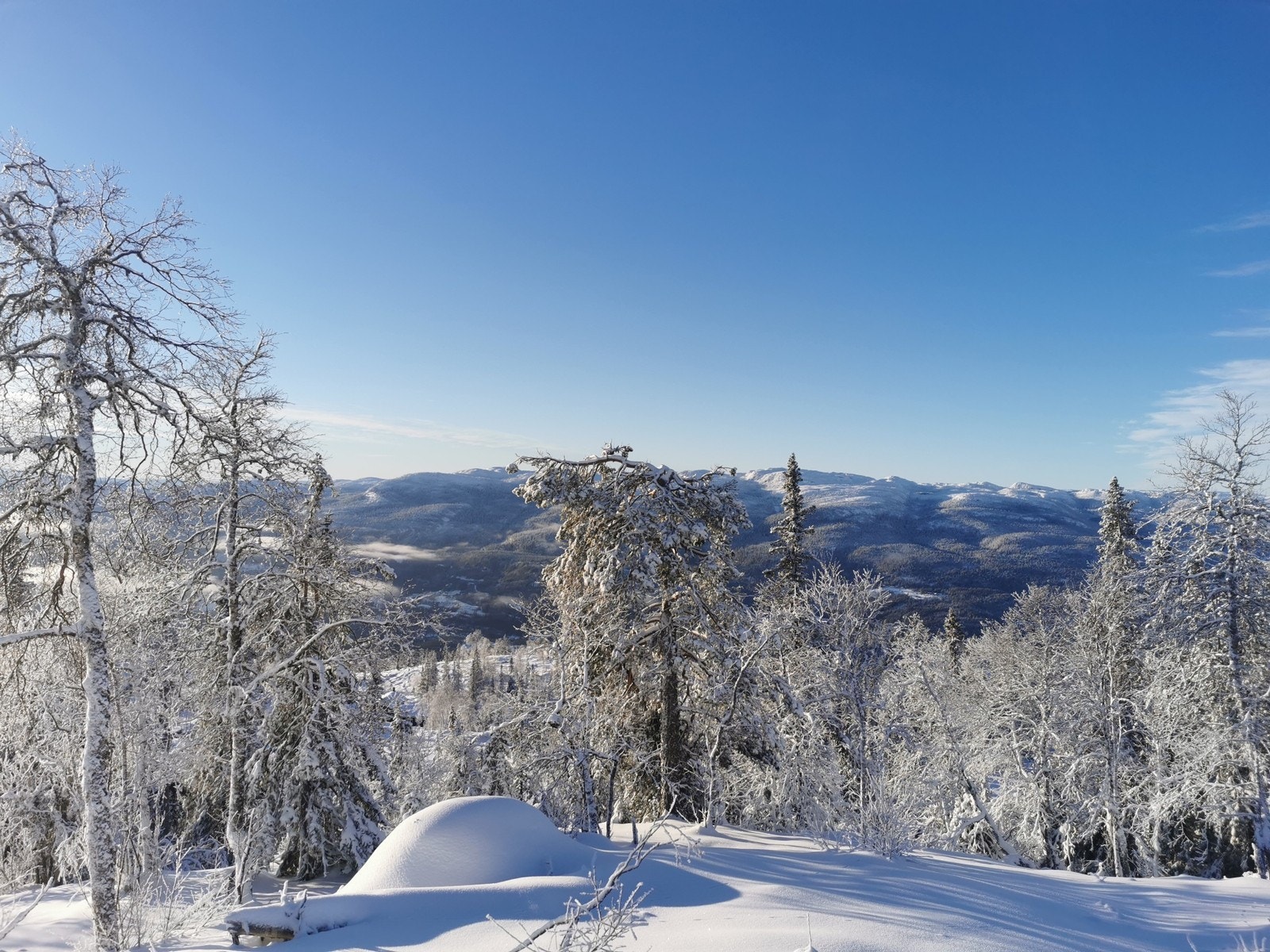 Utsikt fra tomta mot vest Galleribilde