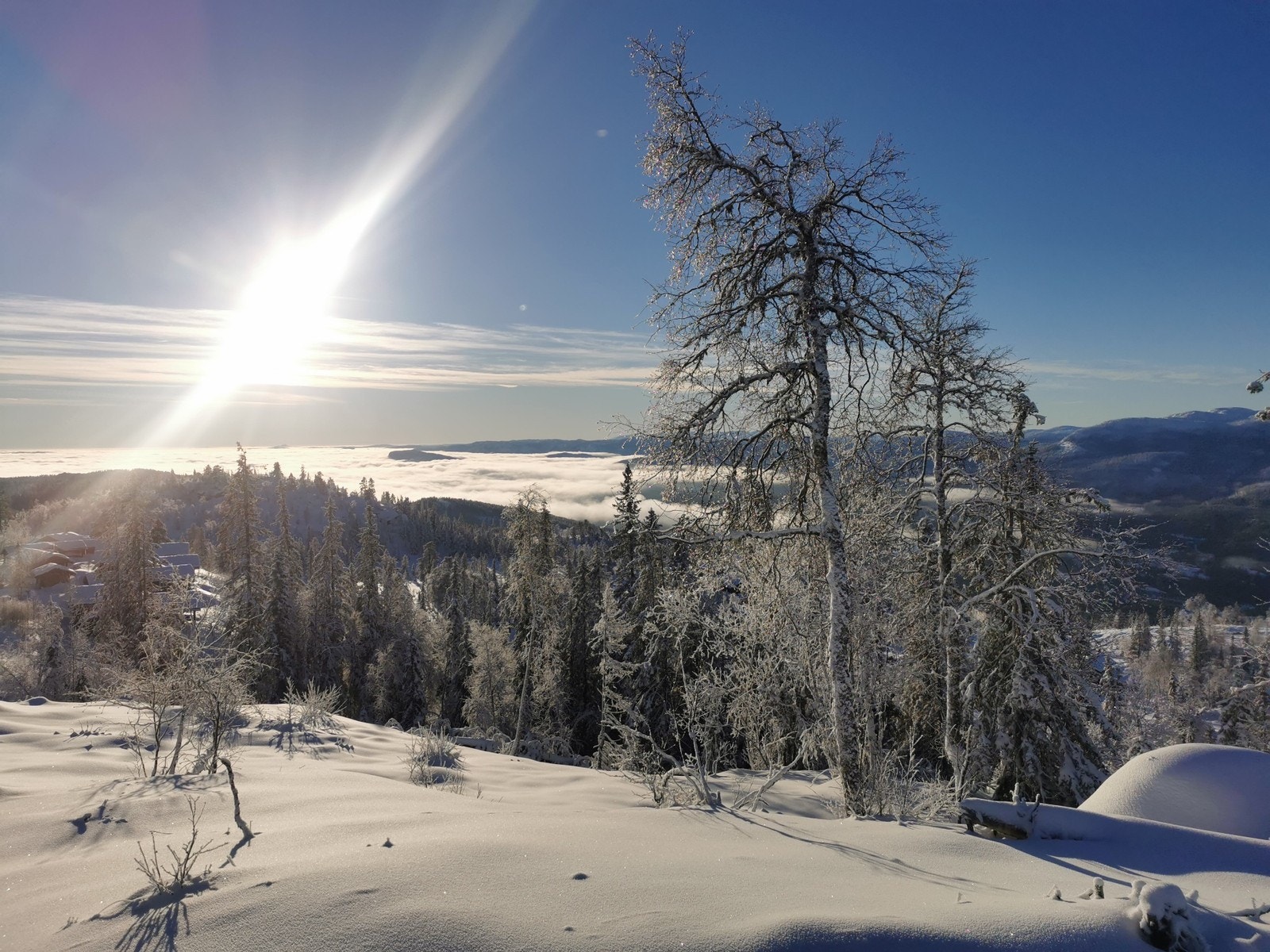 Utsikt fra tomta mot sør-vest Galleribilde