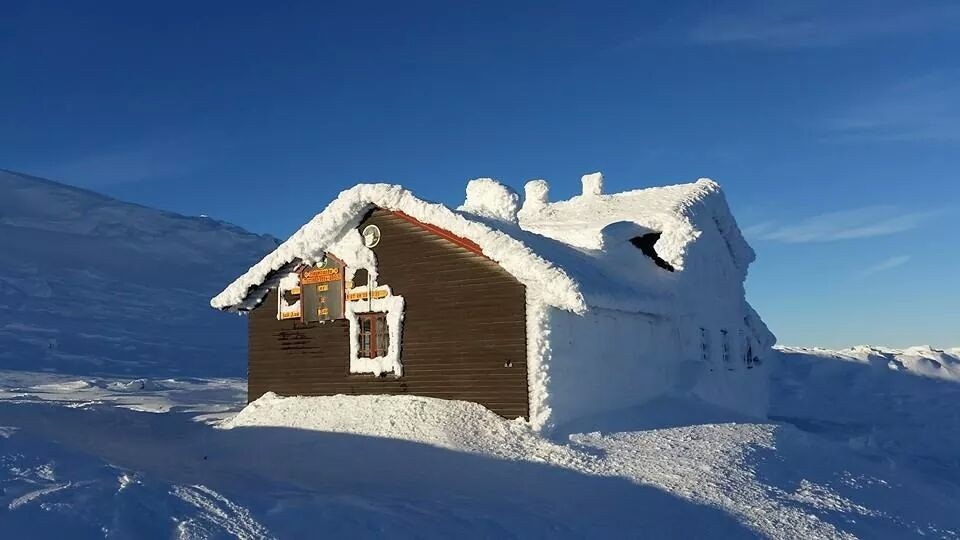 Høgevarde DNT hytte med servering Galleribilde