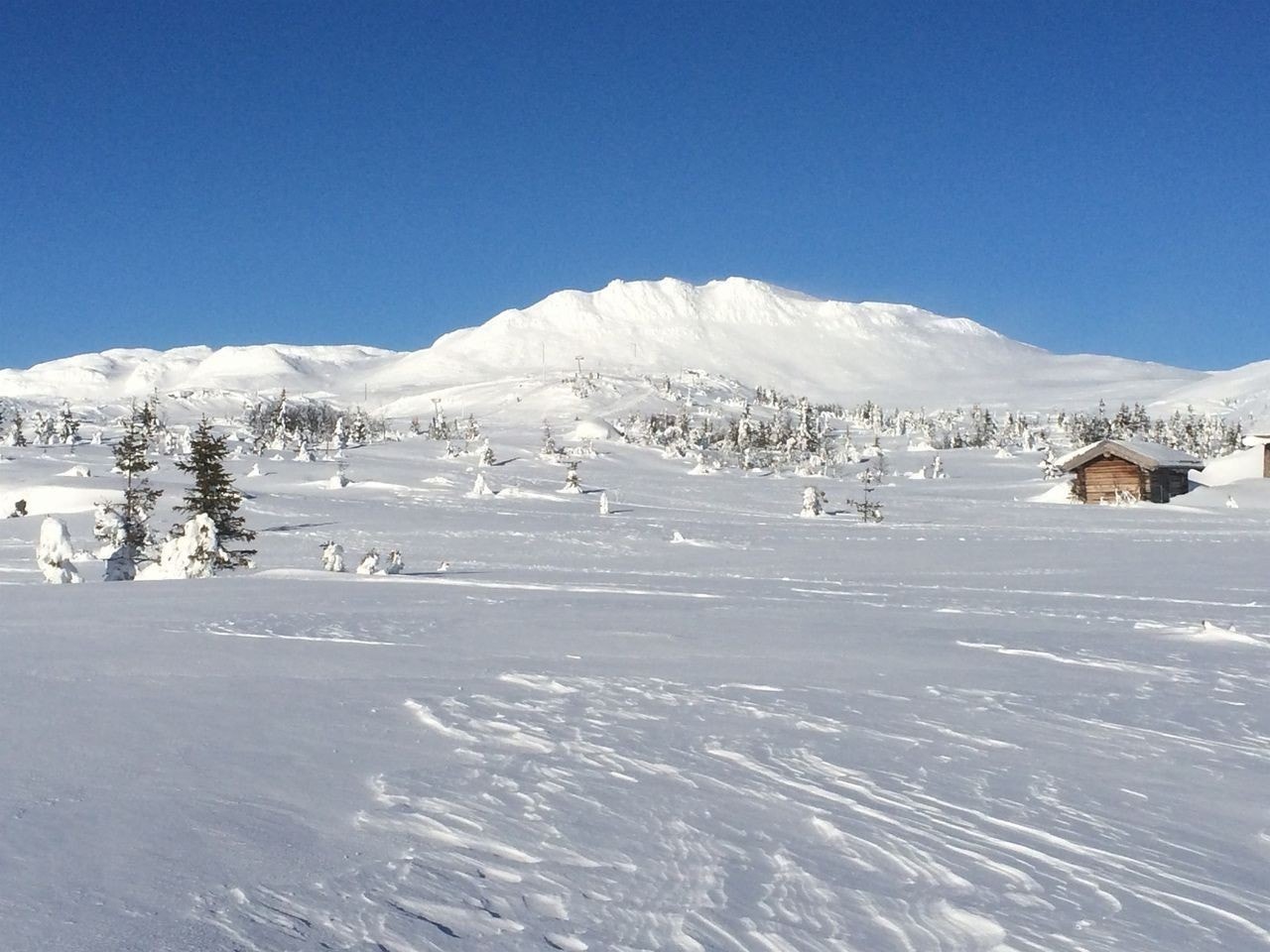 Flotte Ranten ved Tempelseter er innen rekkevidde for de spreke Galleribilde