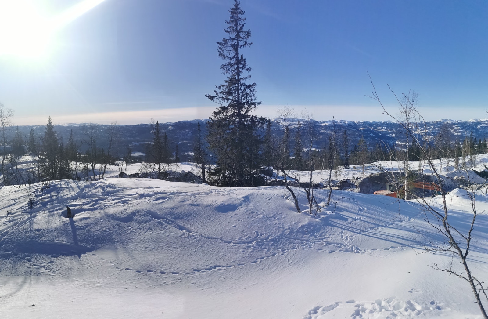 Bildet er tatt ca 100 meter på oversiden av tomta Galleribilde