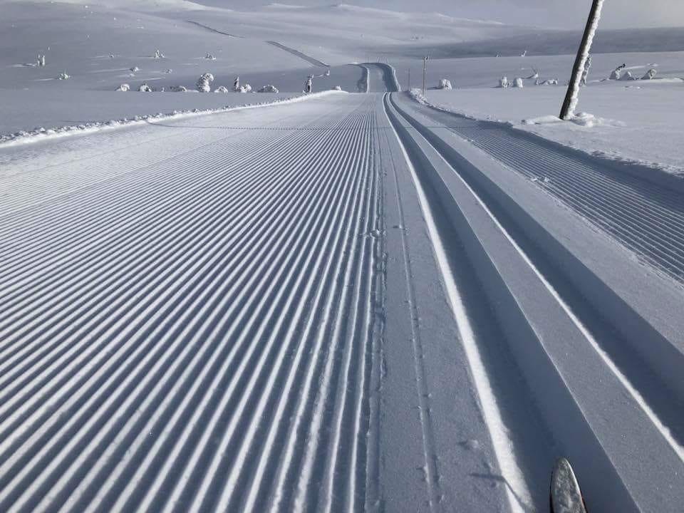 Skiløyper fra Eggedal turlag Galleribilde